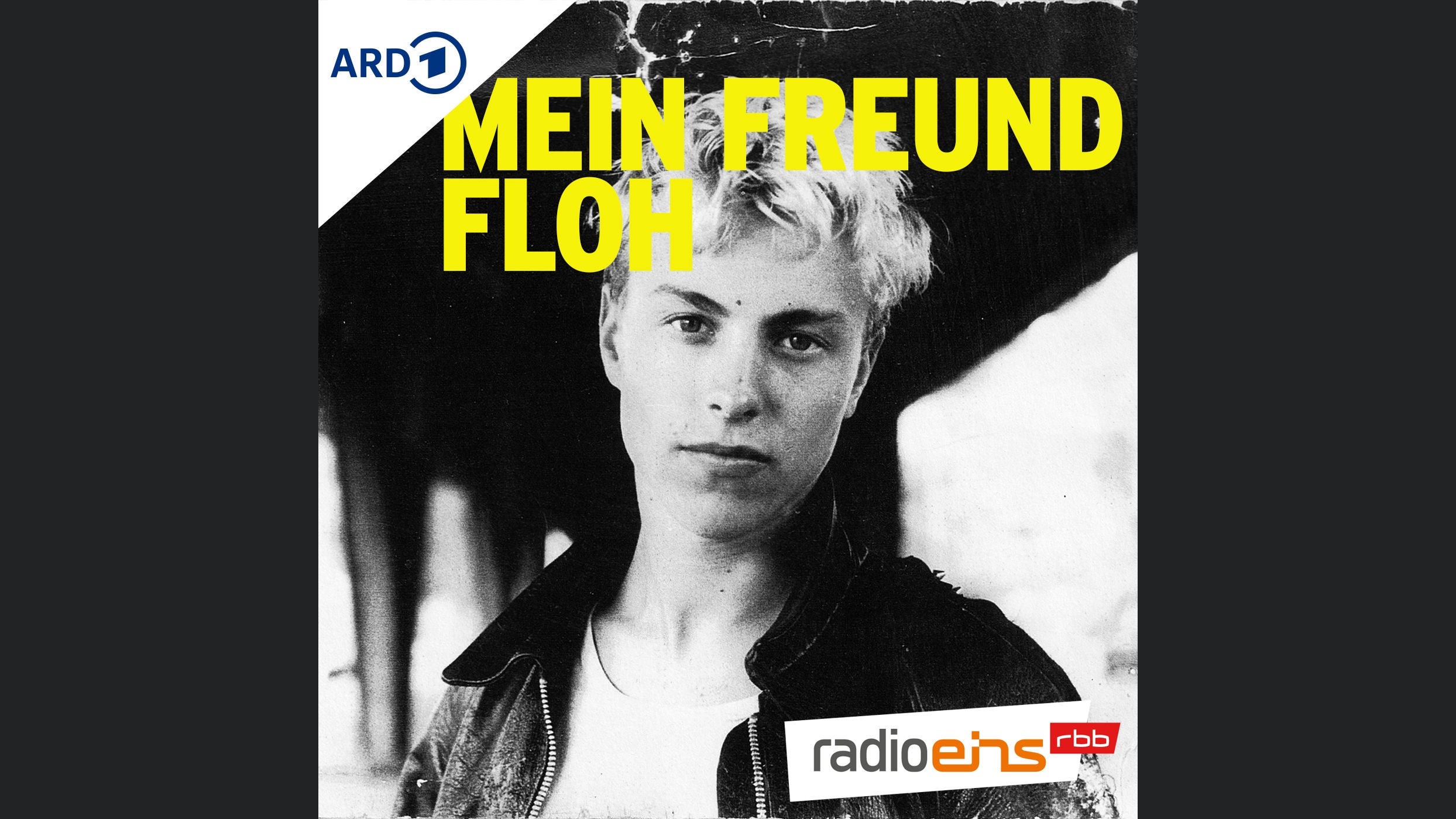 Mein Freund Floh