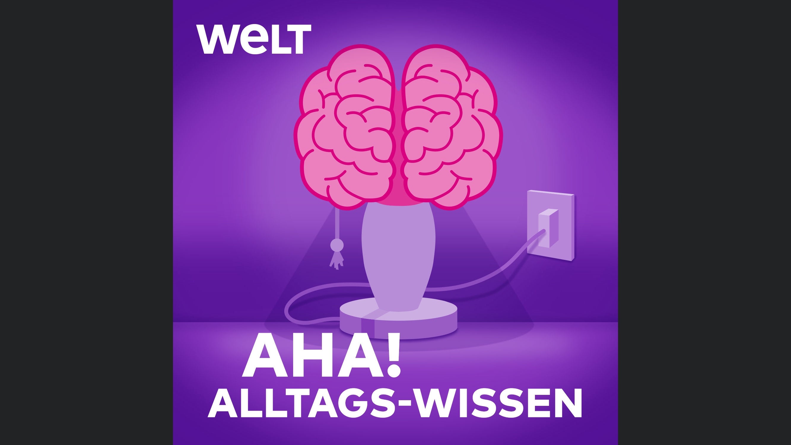 Aha! Zehn Minuten Alltags-Wissen