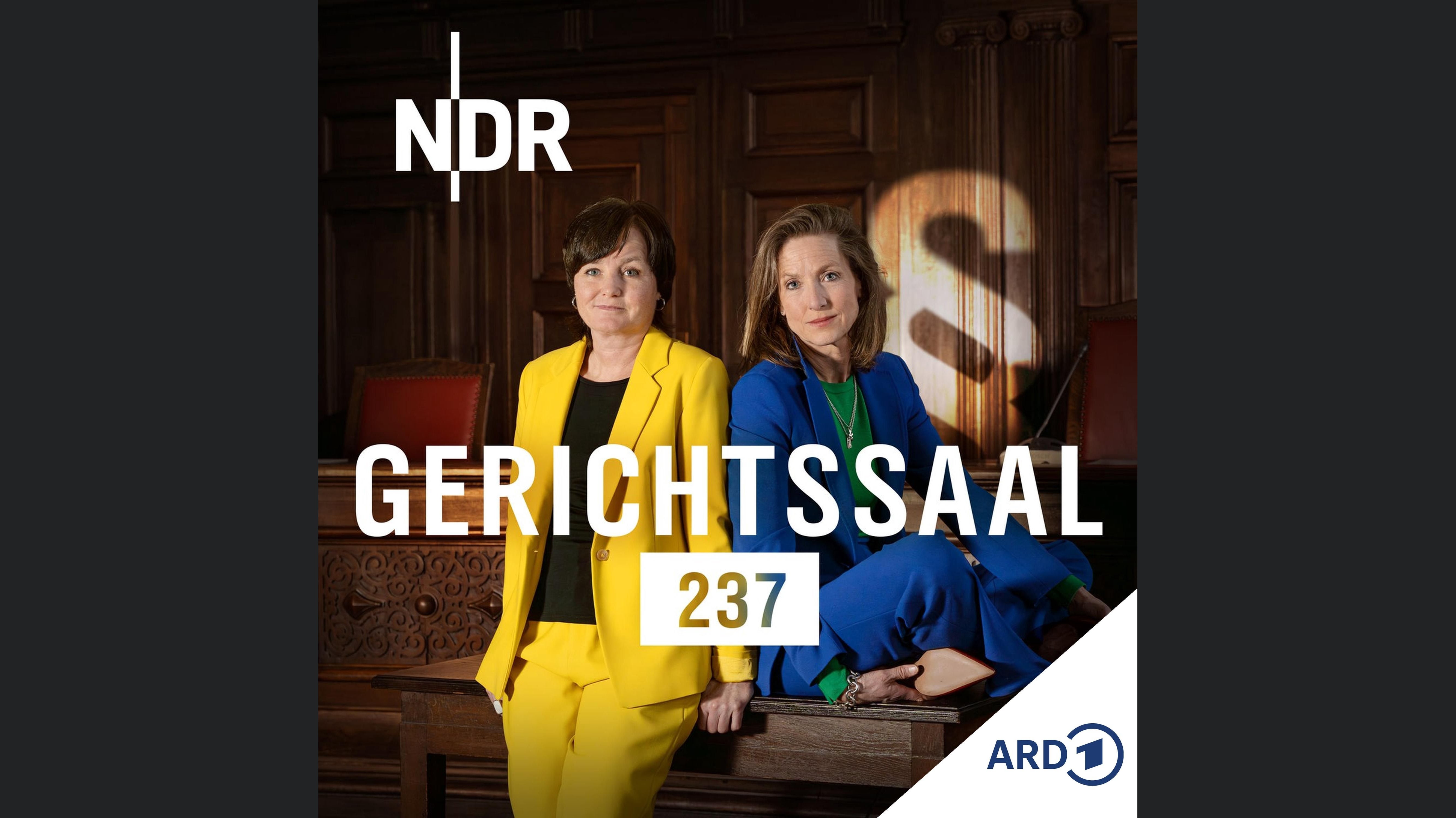 Gerichtssaal 237. True Crime aus dem Strafgericht
