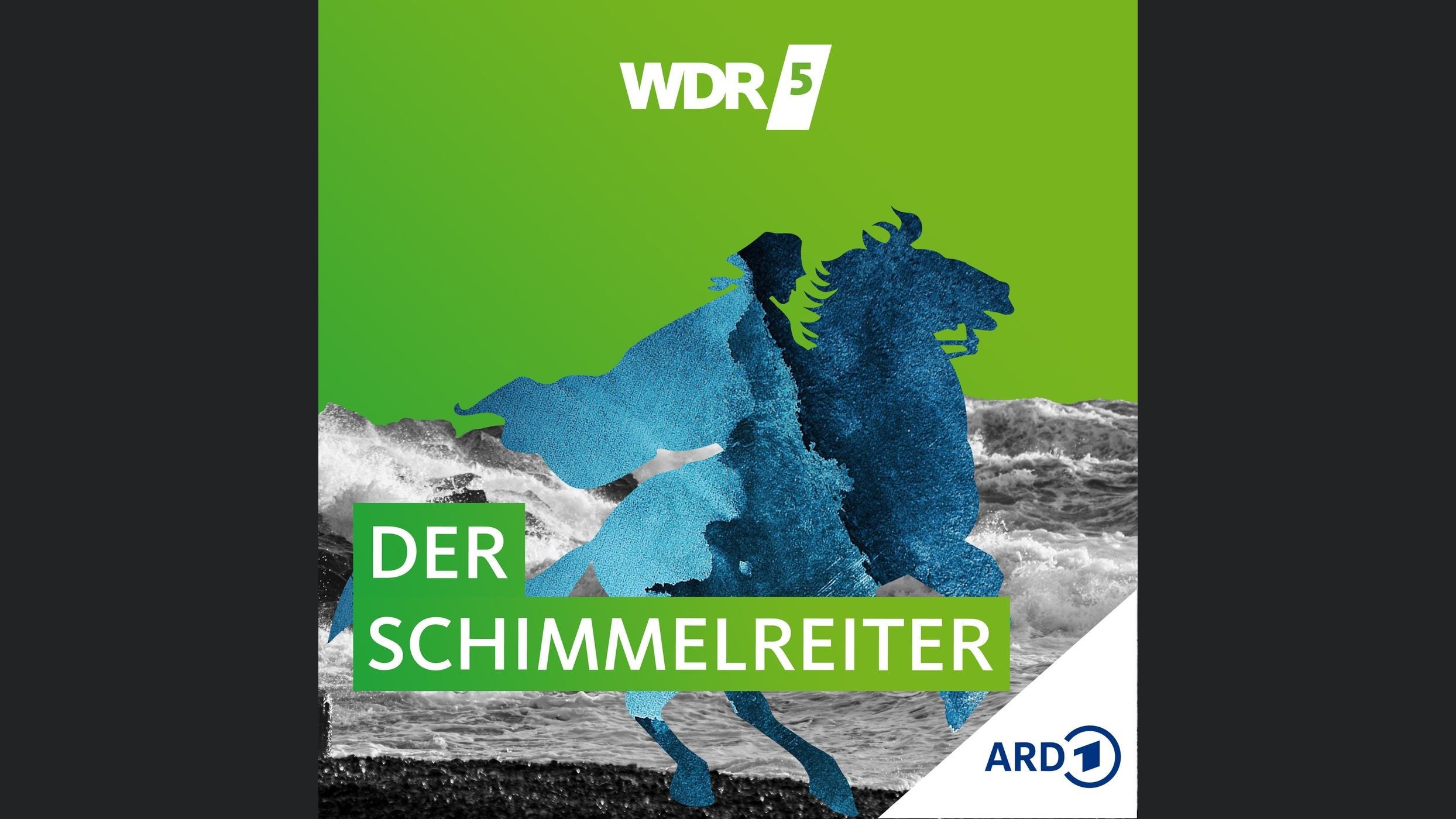 WDR 5 Der Schimmelreiter - Hörbuch