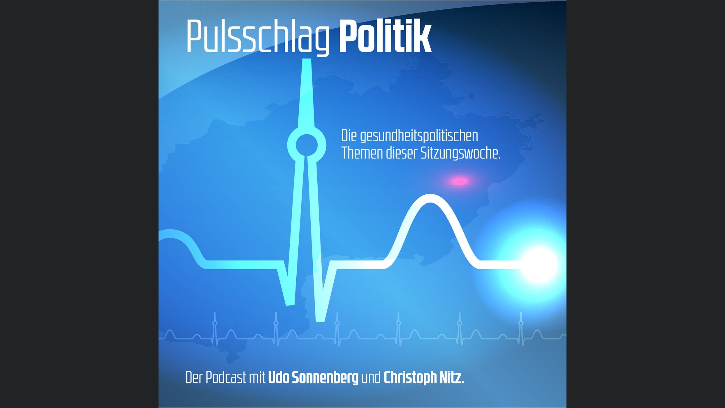 Pulsschlag Politik