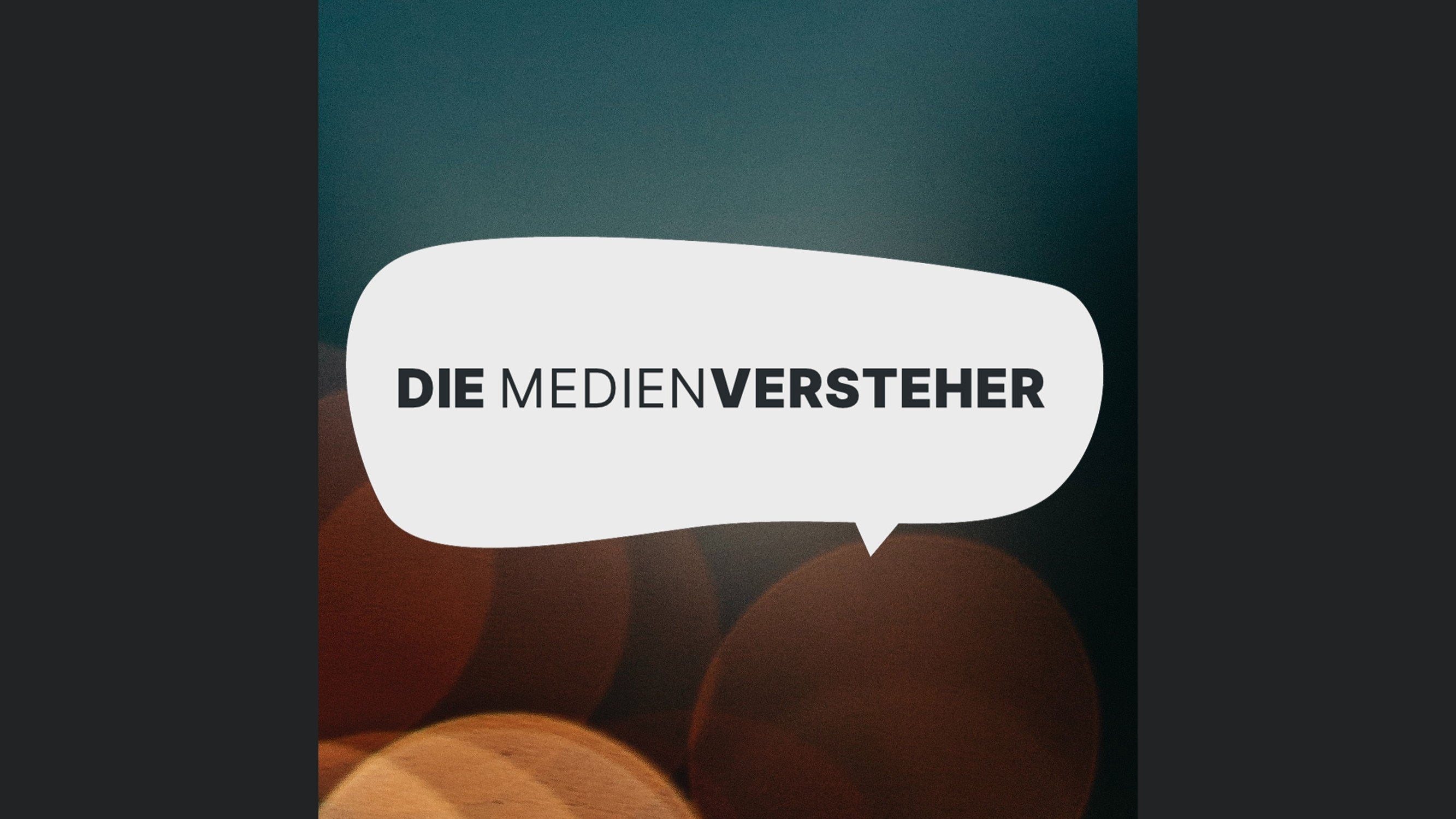 Die Medienversteher