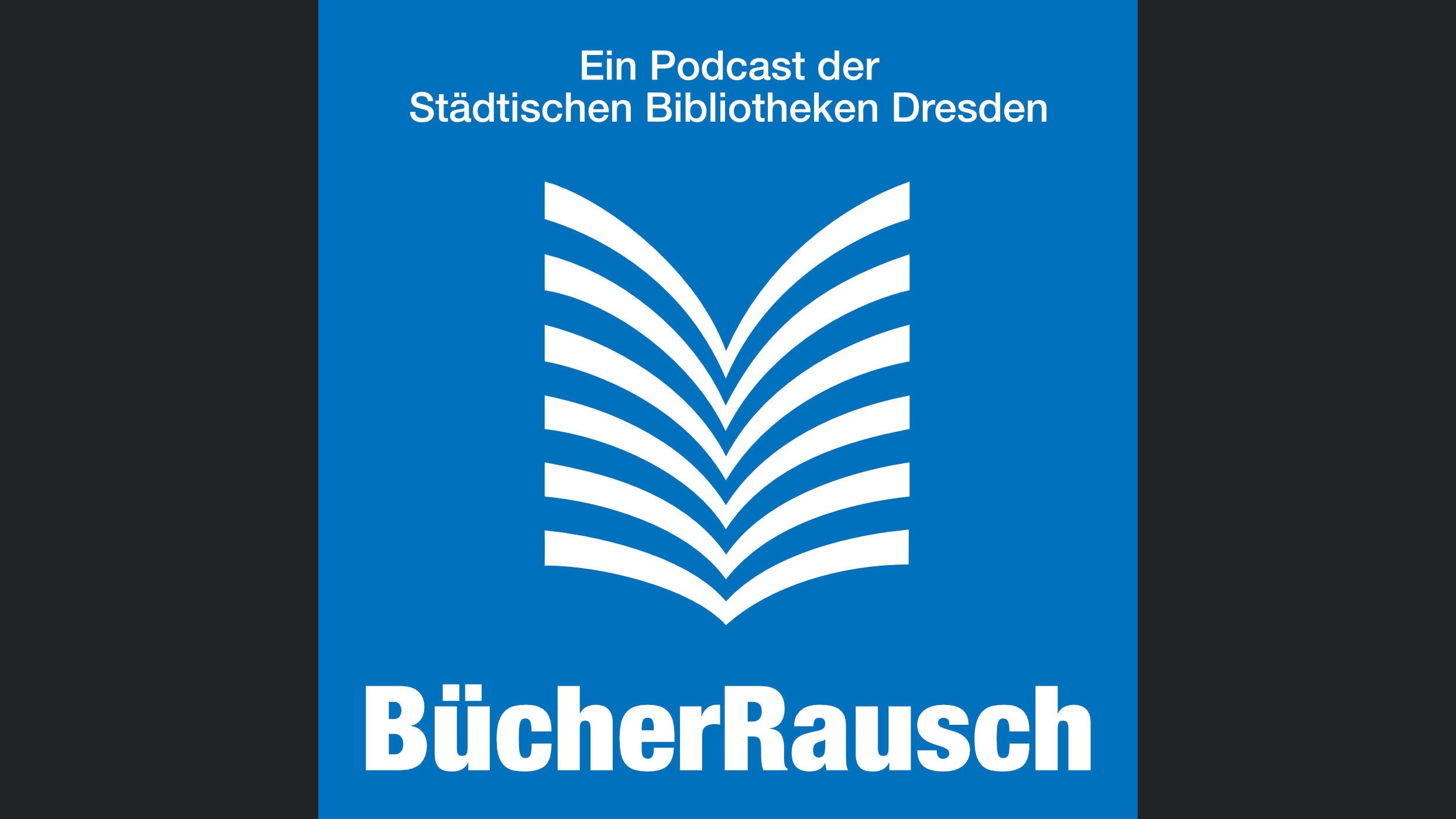 BücherRausch