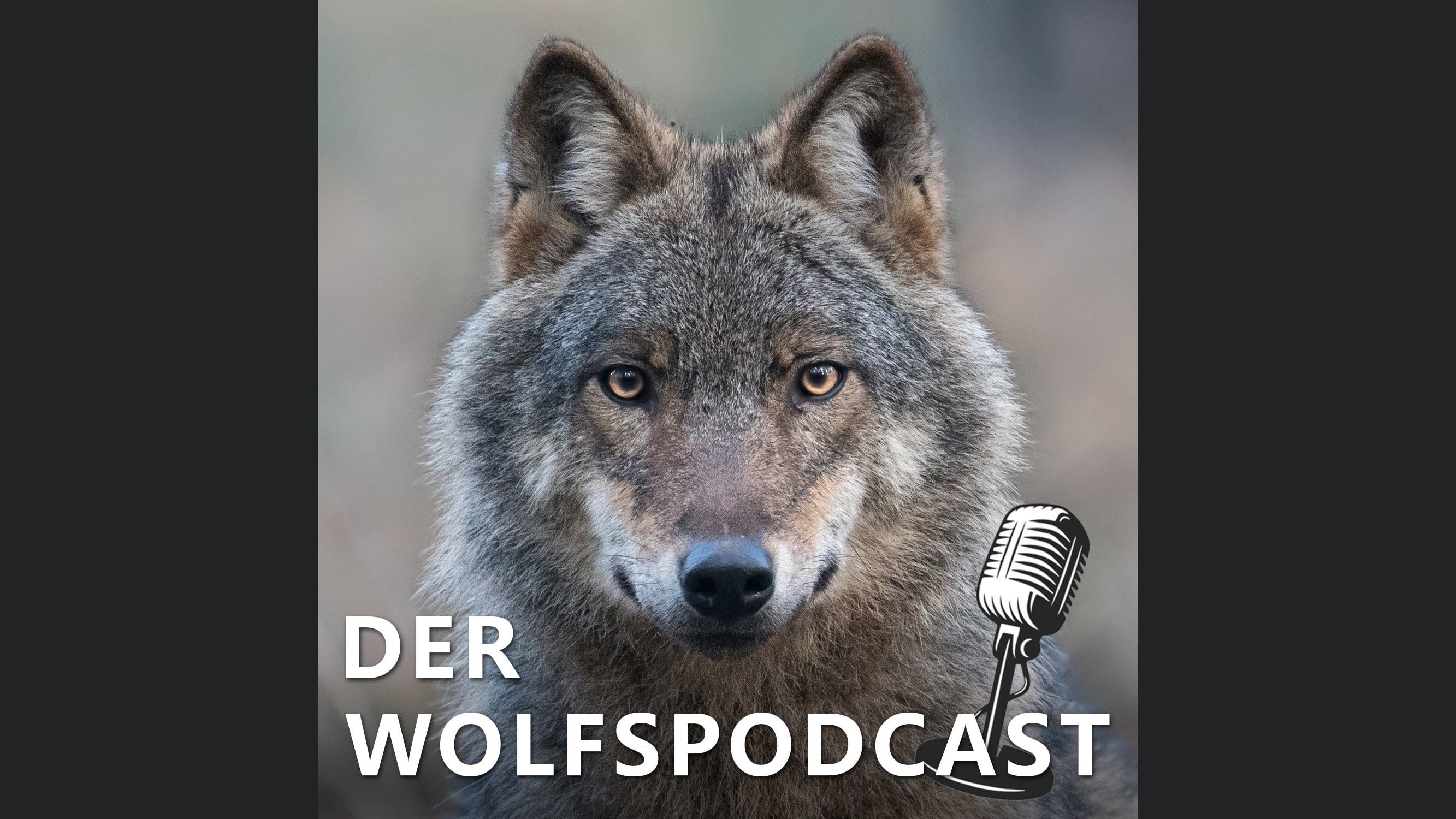 Der Wolfspodcast