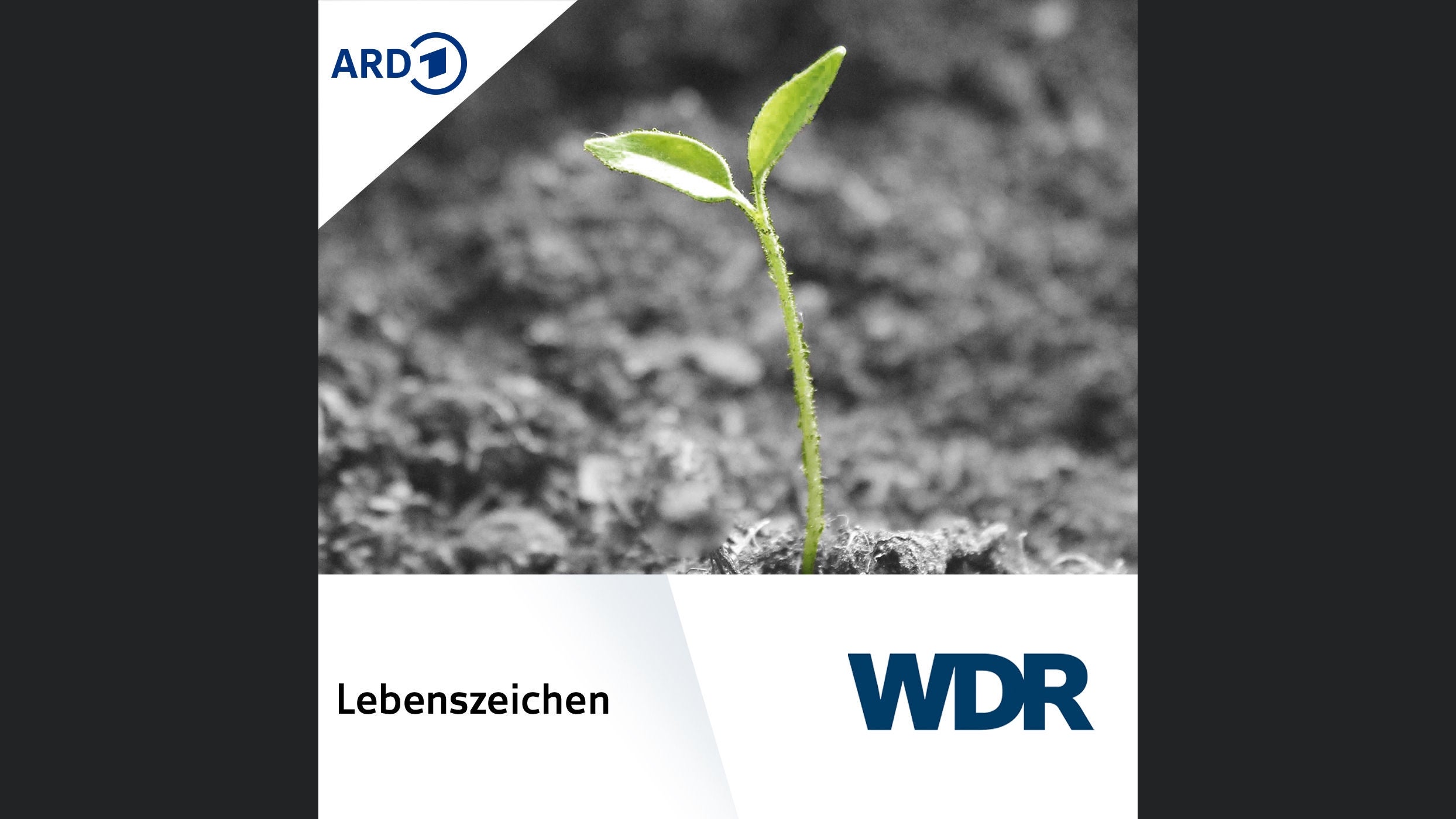 WDR Lebenszeichen