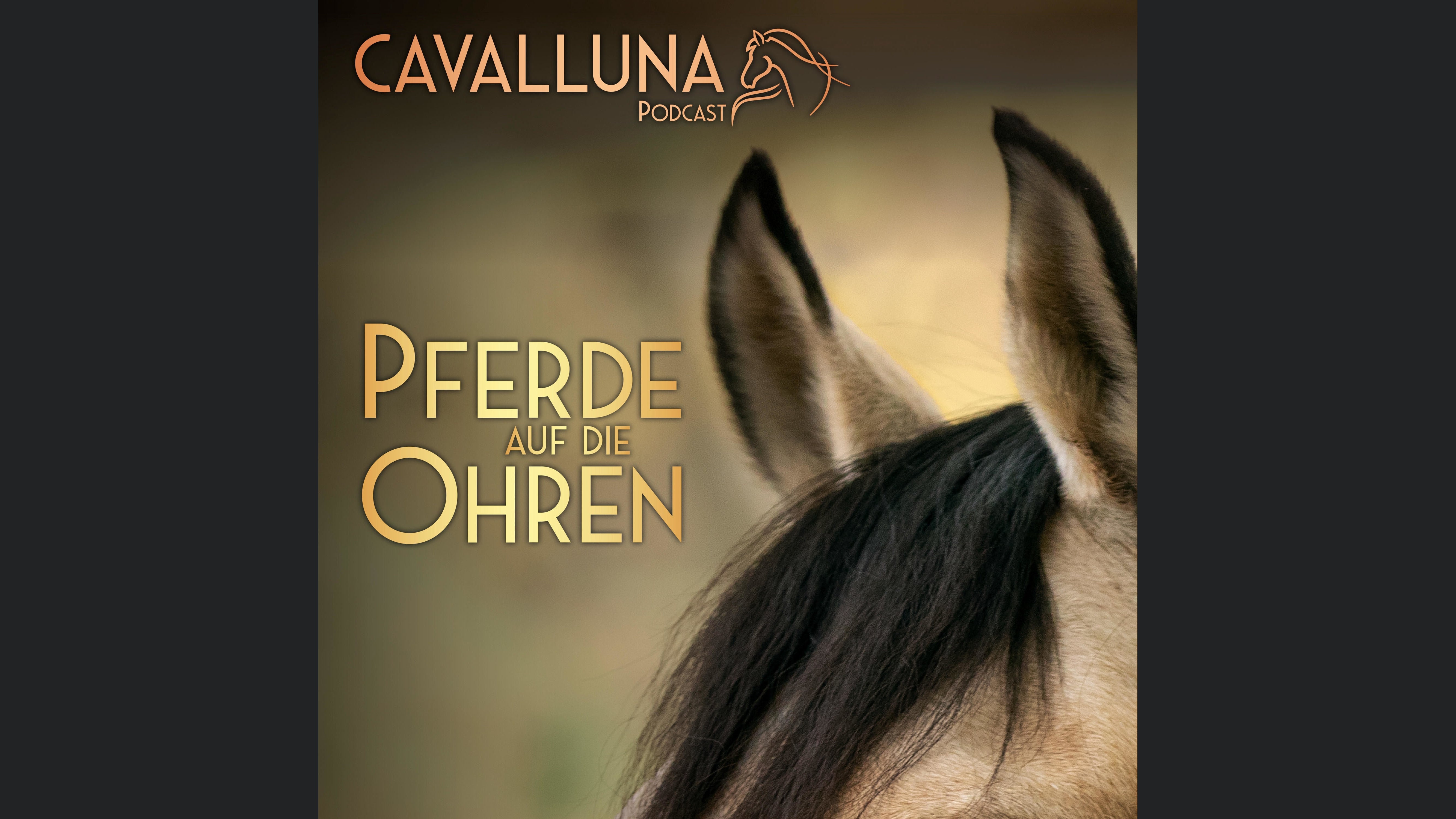 CAVALLUNA Podcast - Pferde auf die Ohren