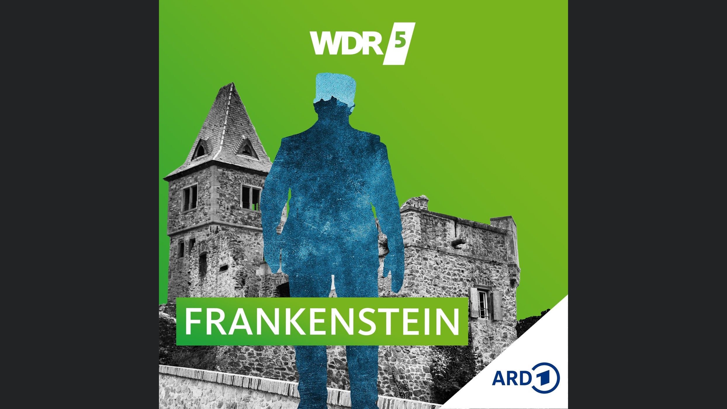 WDR 5 Frankenstein - Hörbuch