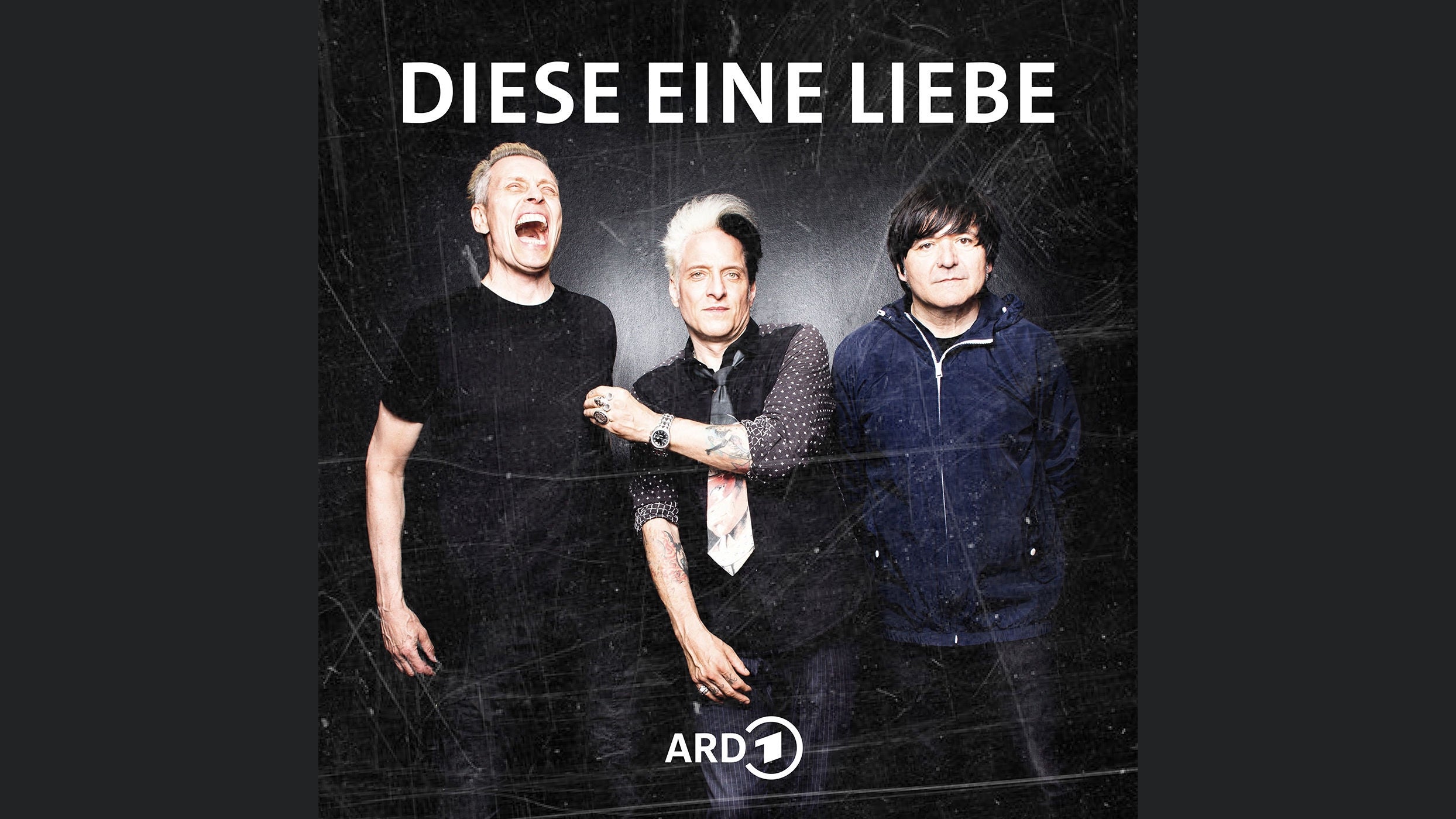 Diese eine Liebe - 40 Jahre Die Ärzte