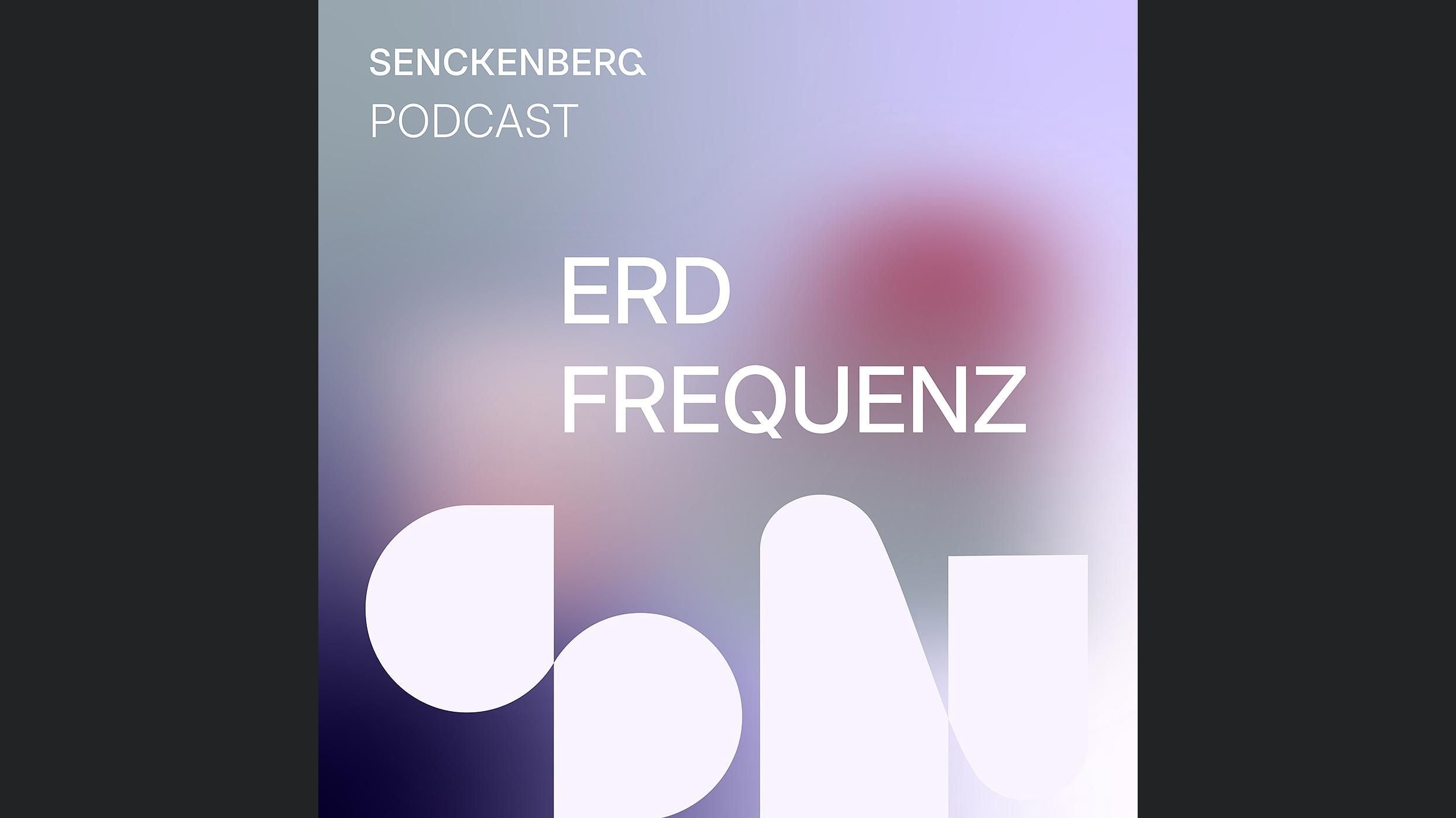 Erdfrequenz