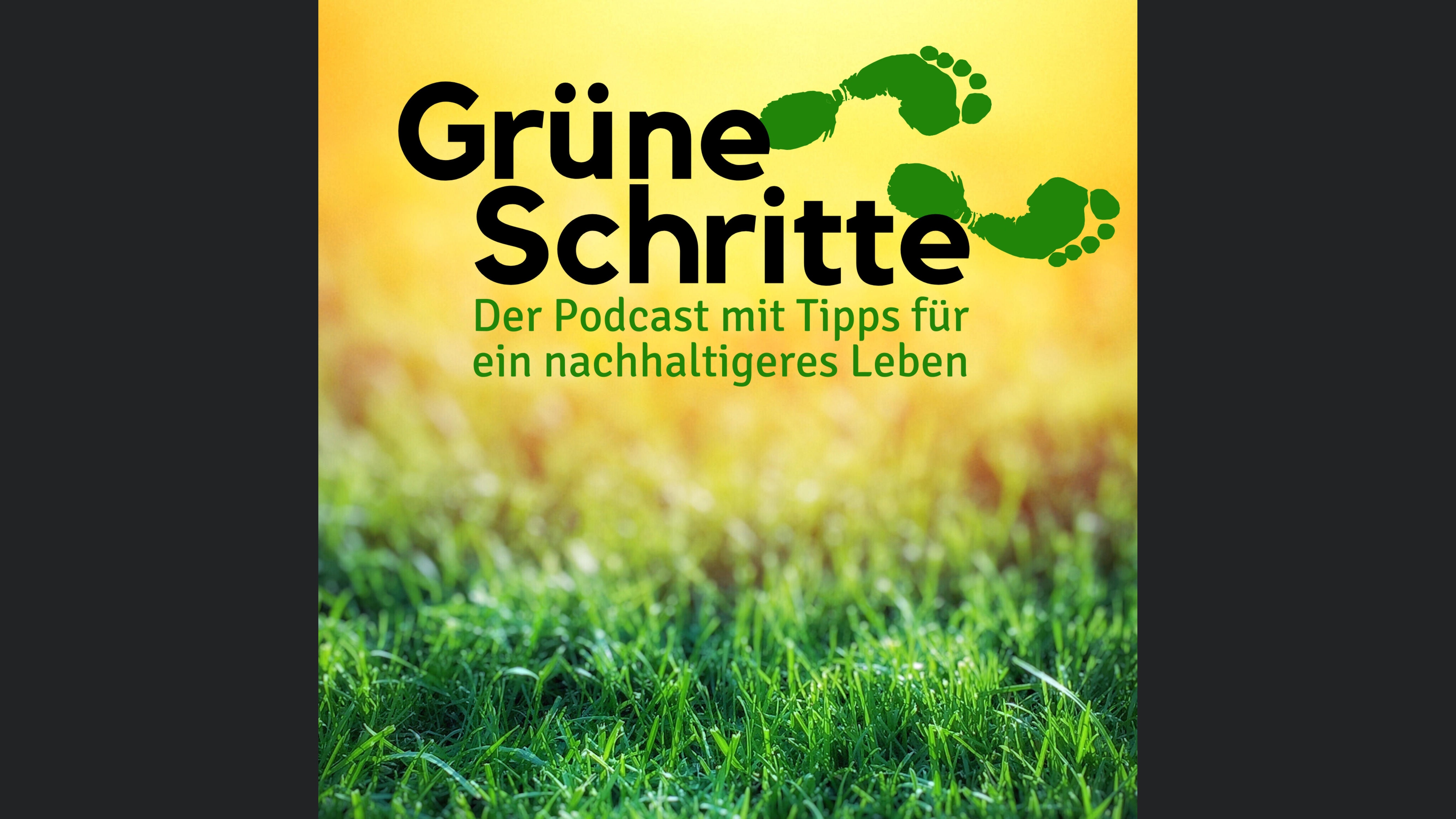 Grüne Schritte – Der Podcast mit Tipps für ein nachhaltigeres Leben
