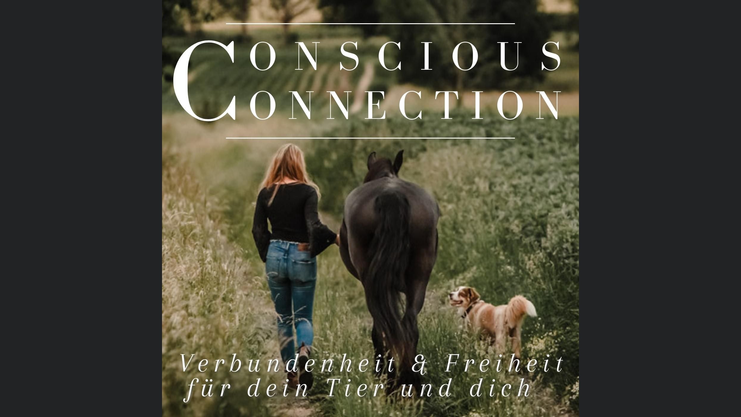 ConsciousConnection - Mit Tieren hin zu mehr Bewusstsein, Verbundenheit & Freiheit