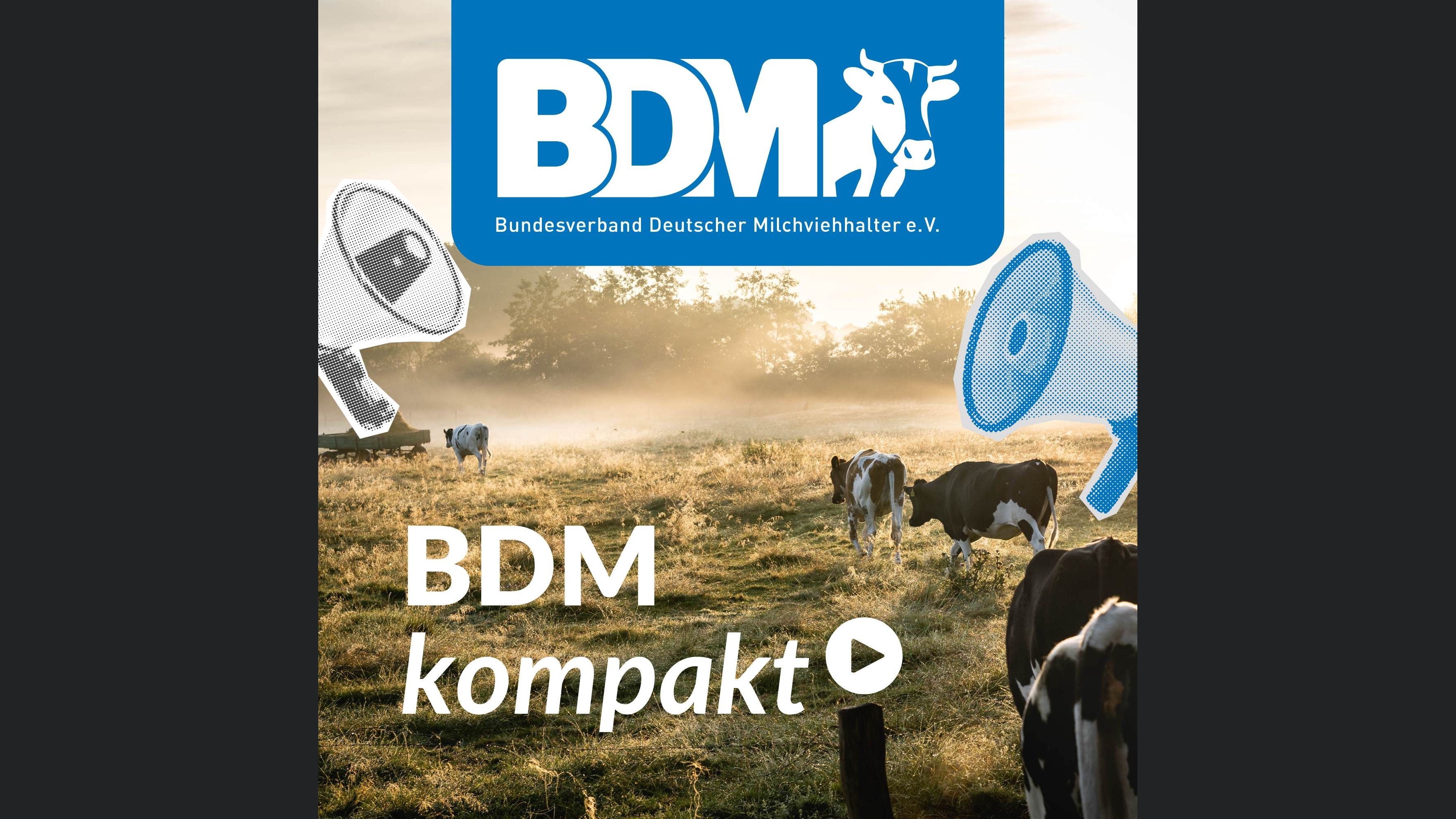 BDM kompakt