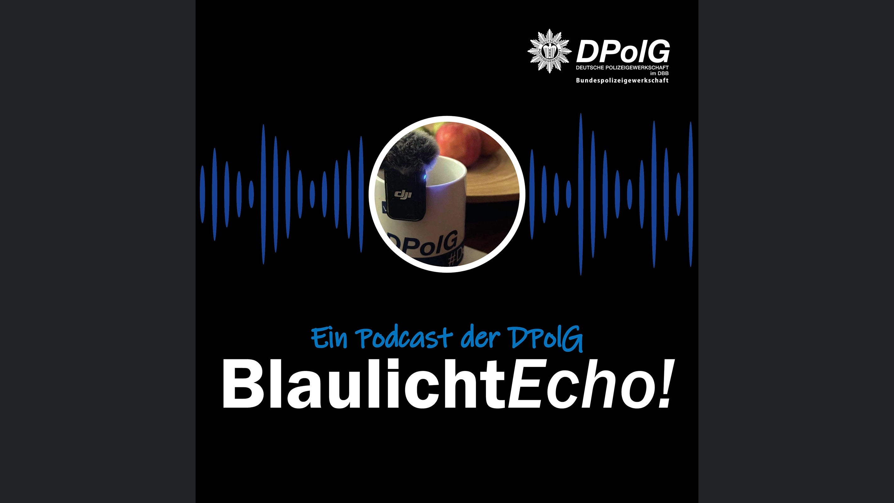 BlaulichtEcho