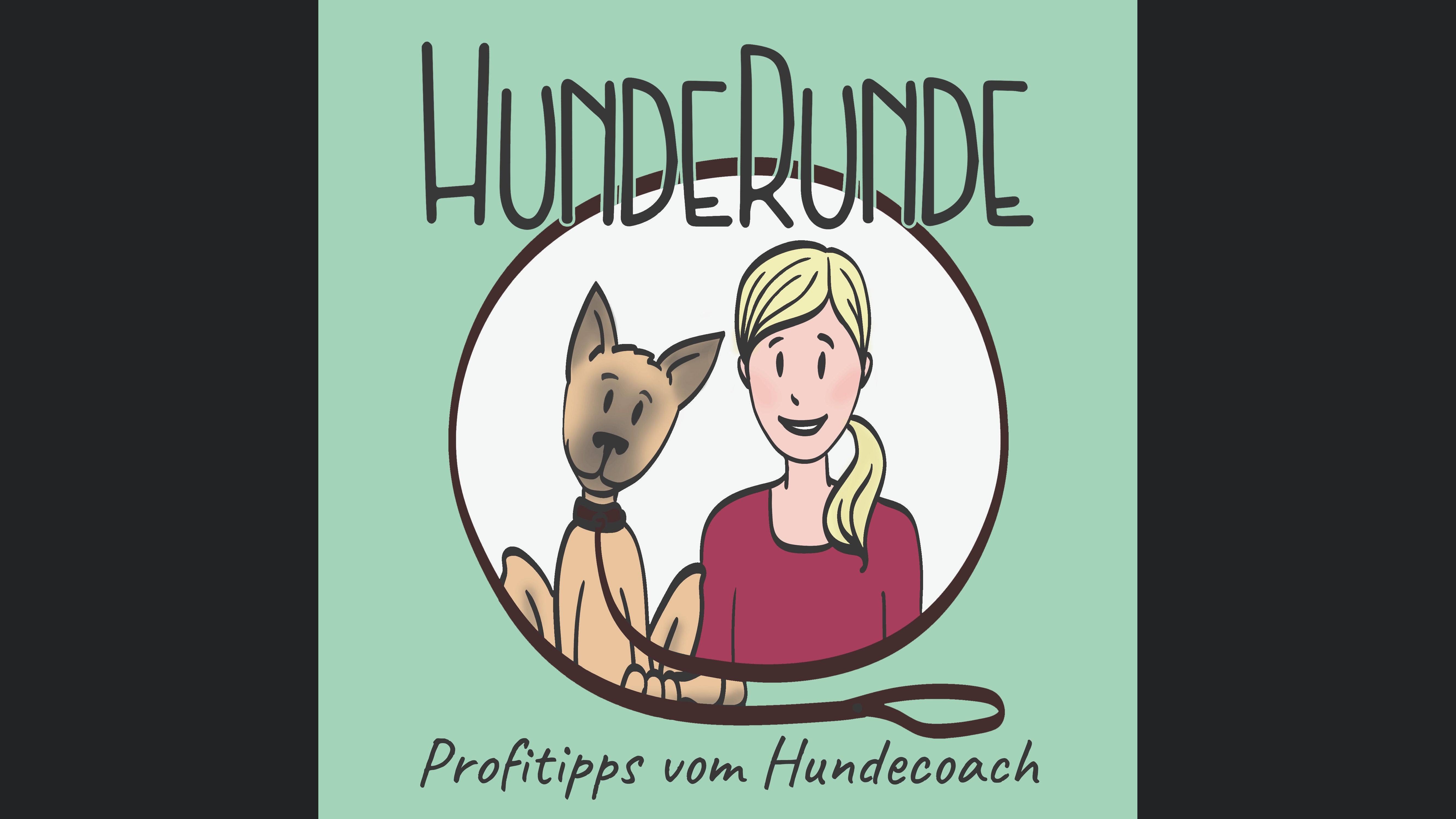 HundeRunde - Profitipps vom Hundecoach