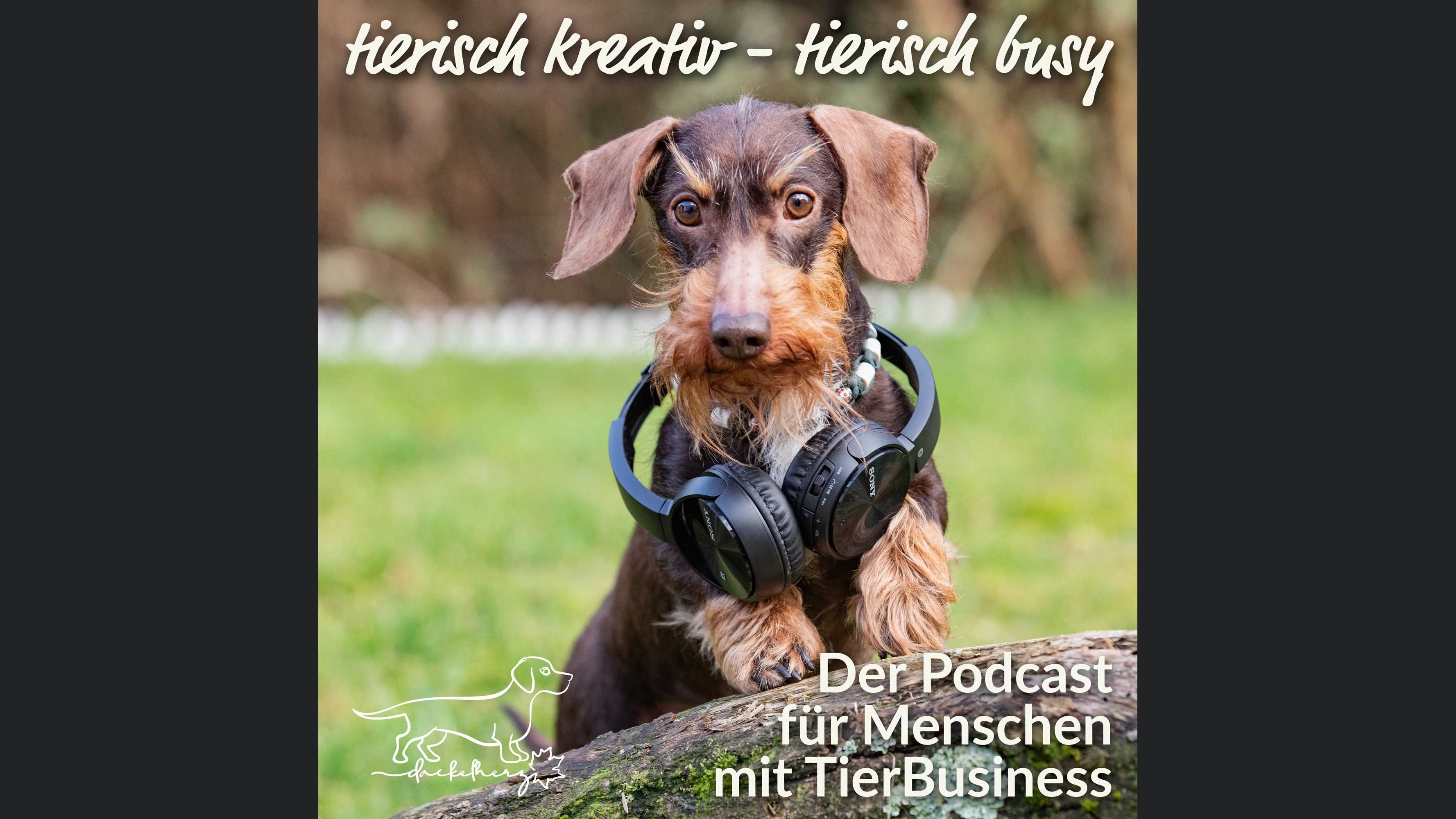 Tierisch kreativ & tierisch busy