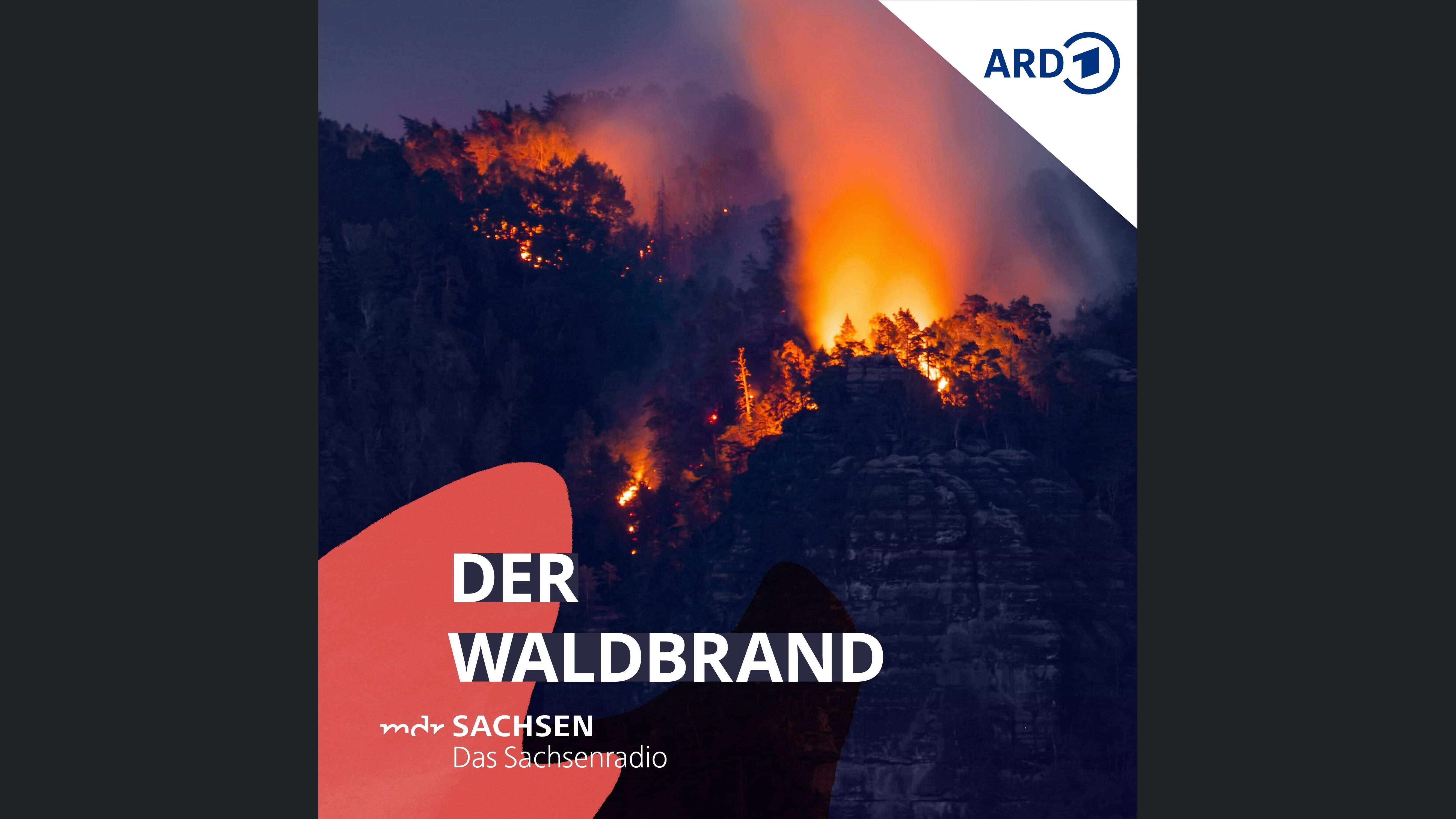 Der Waldbrand – wenn die Natur in Flammen steht