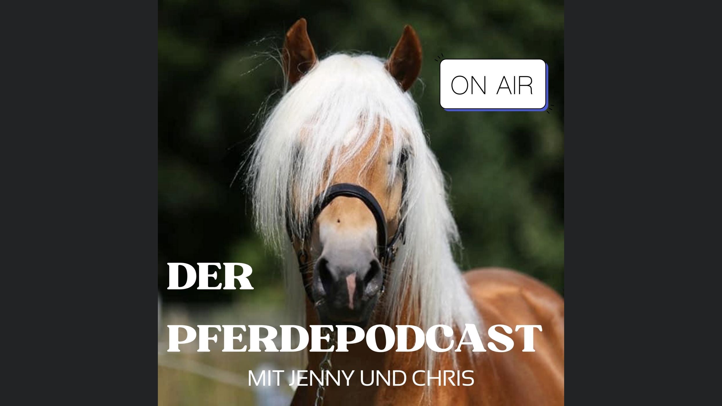 Der Pferdepodcast