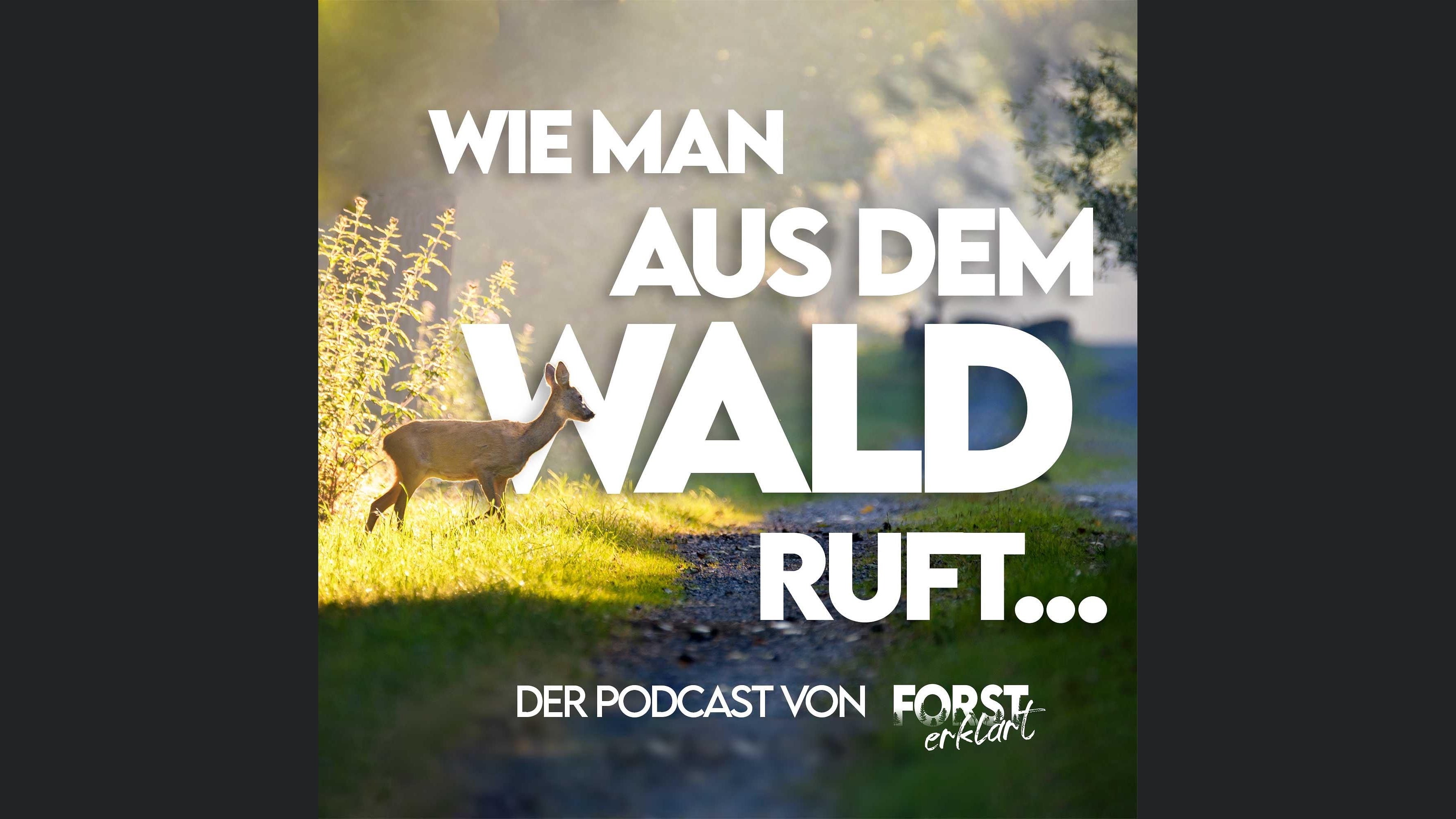 Wie man aus dem Wald ruft...