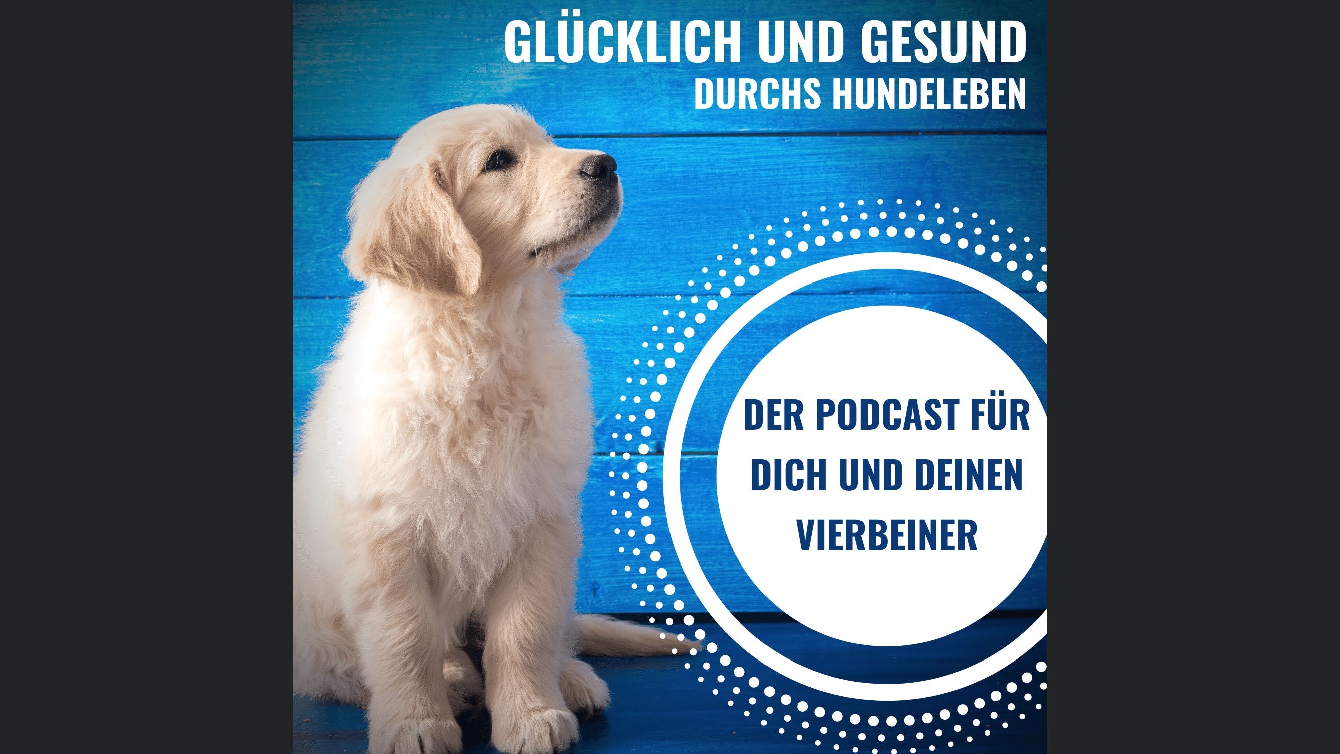 Glücklich und gesund durchs Hundeleben