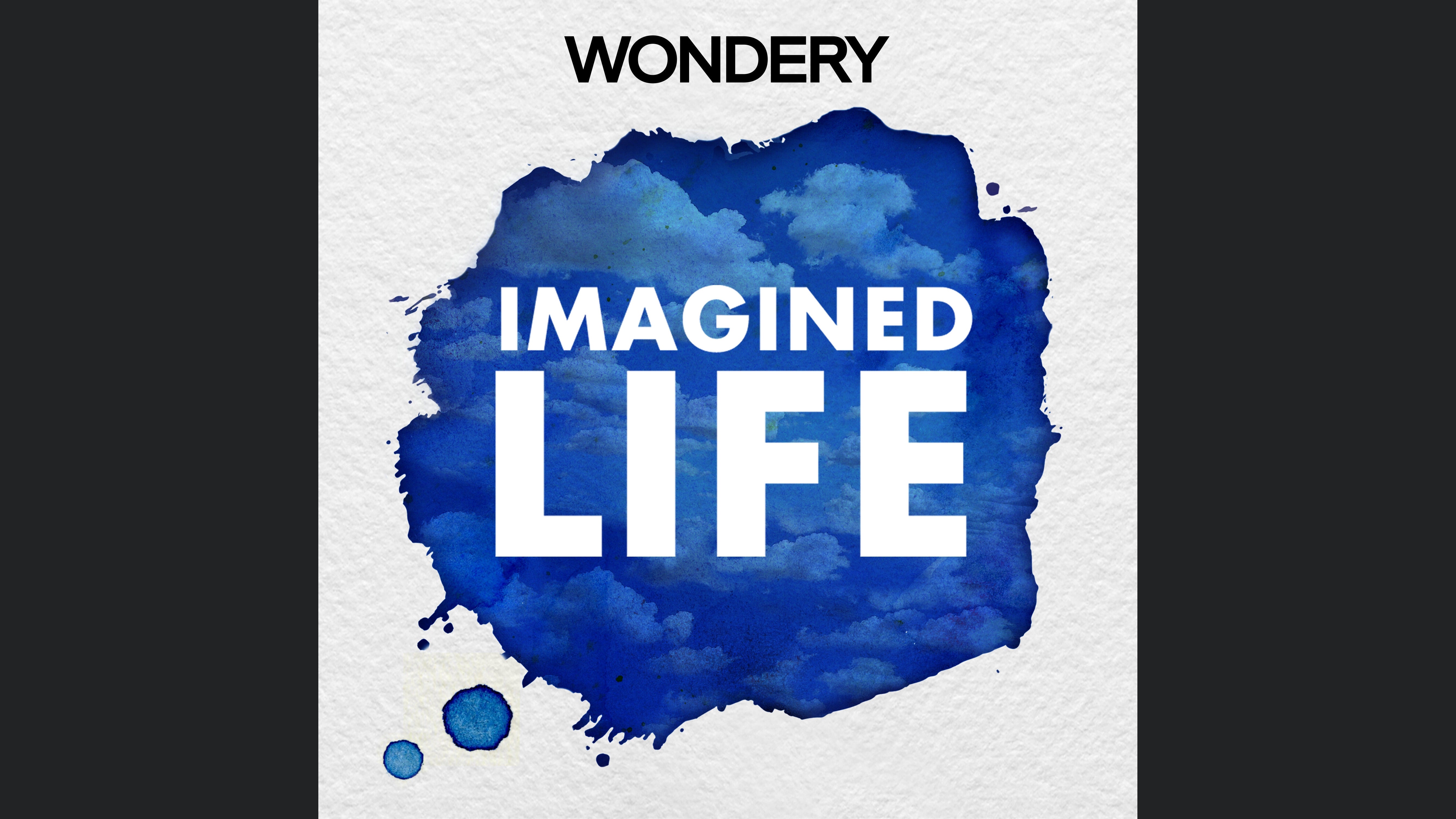 Imagined Life