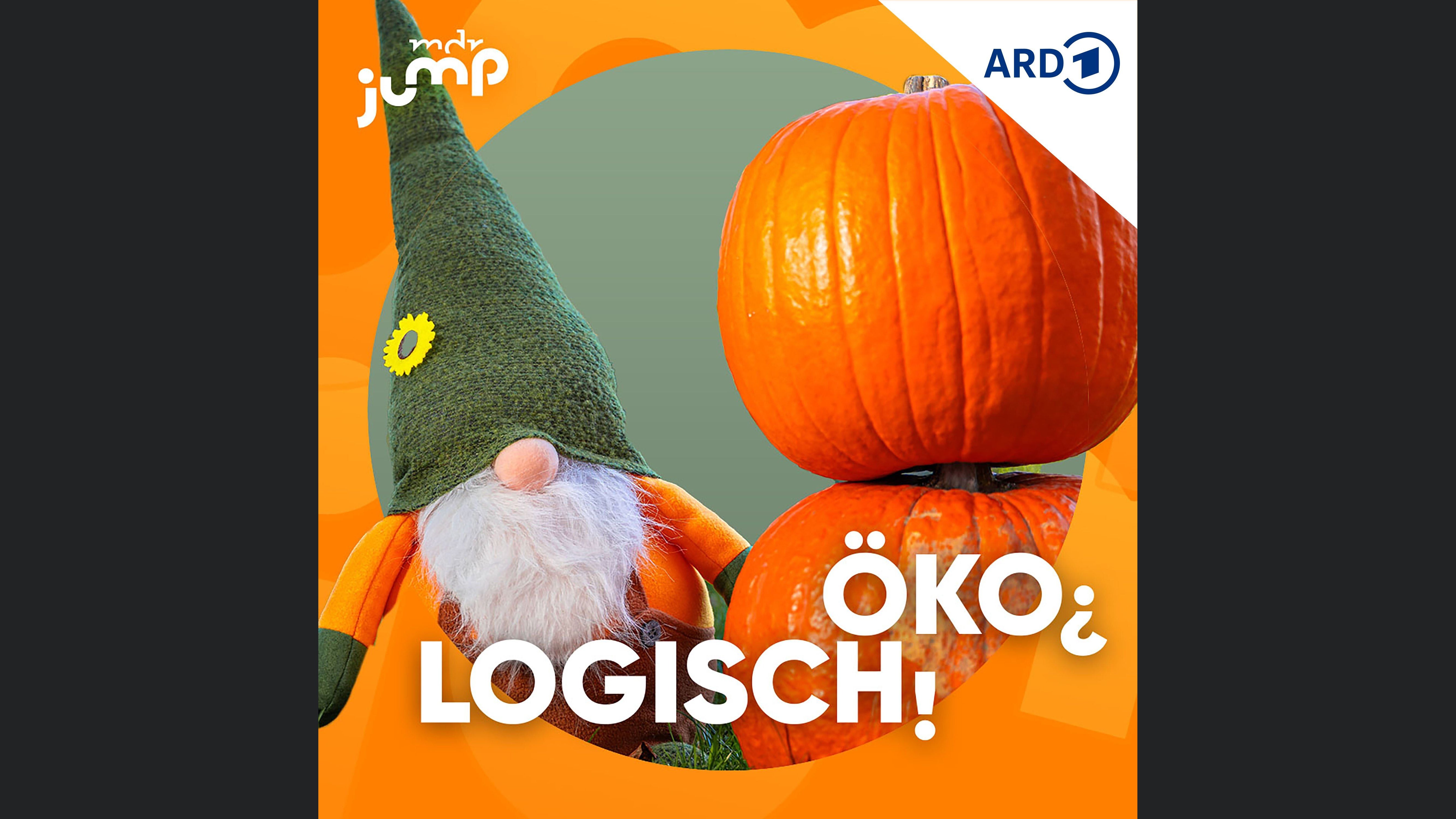 Öko Logisch