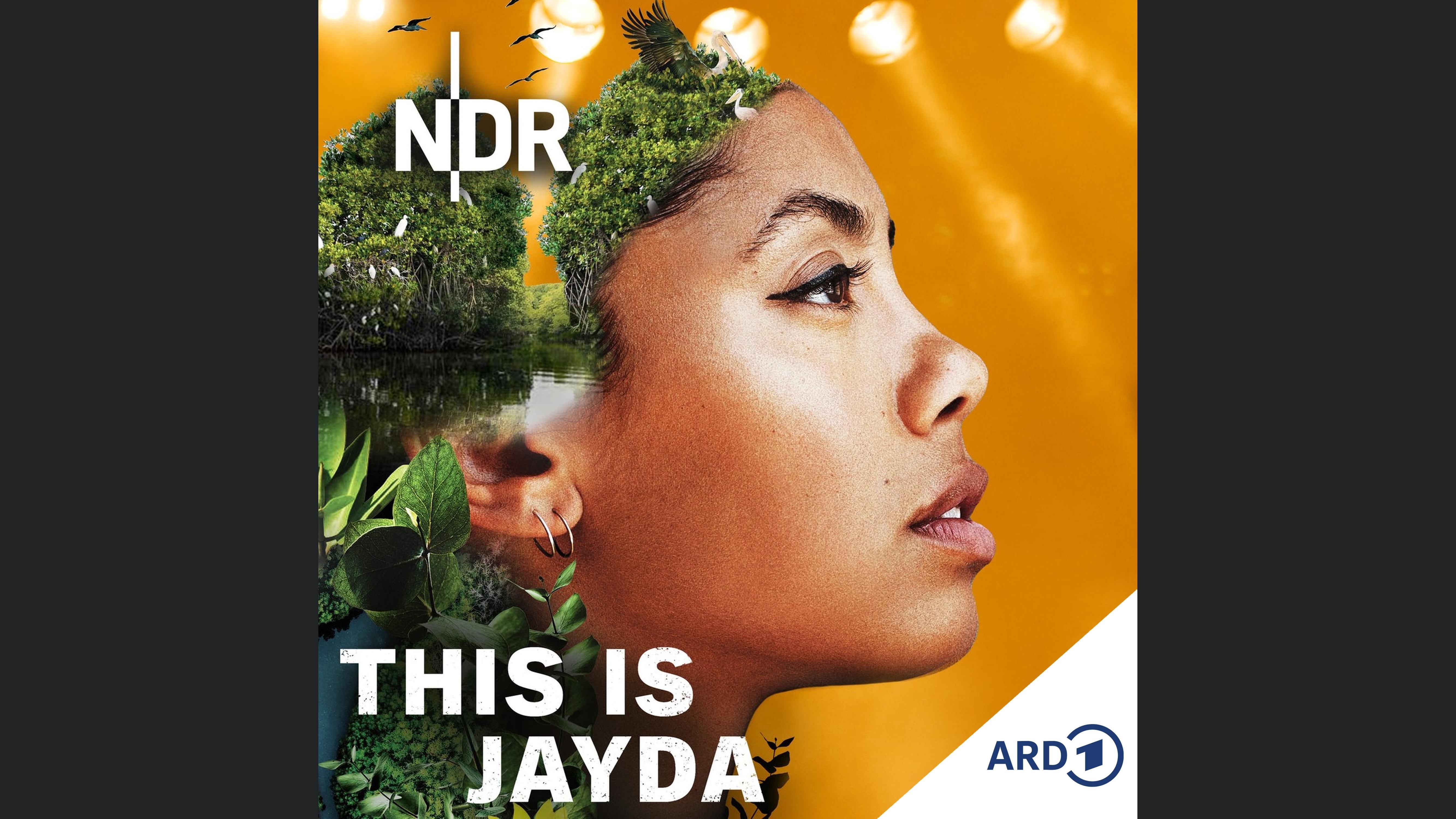 This is Jayda