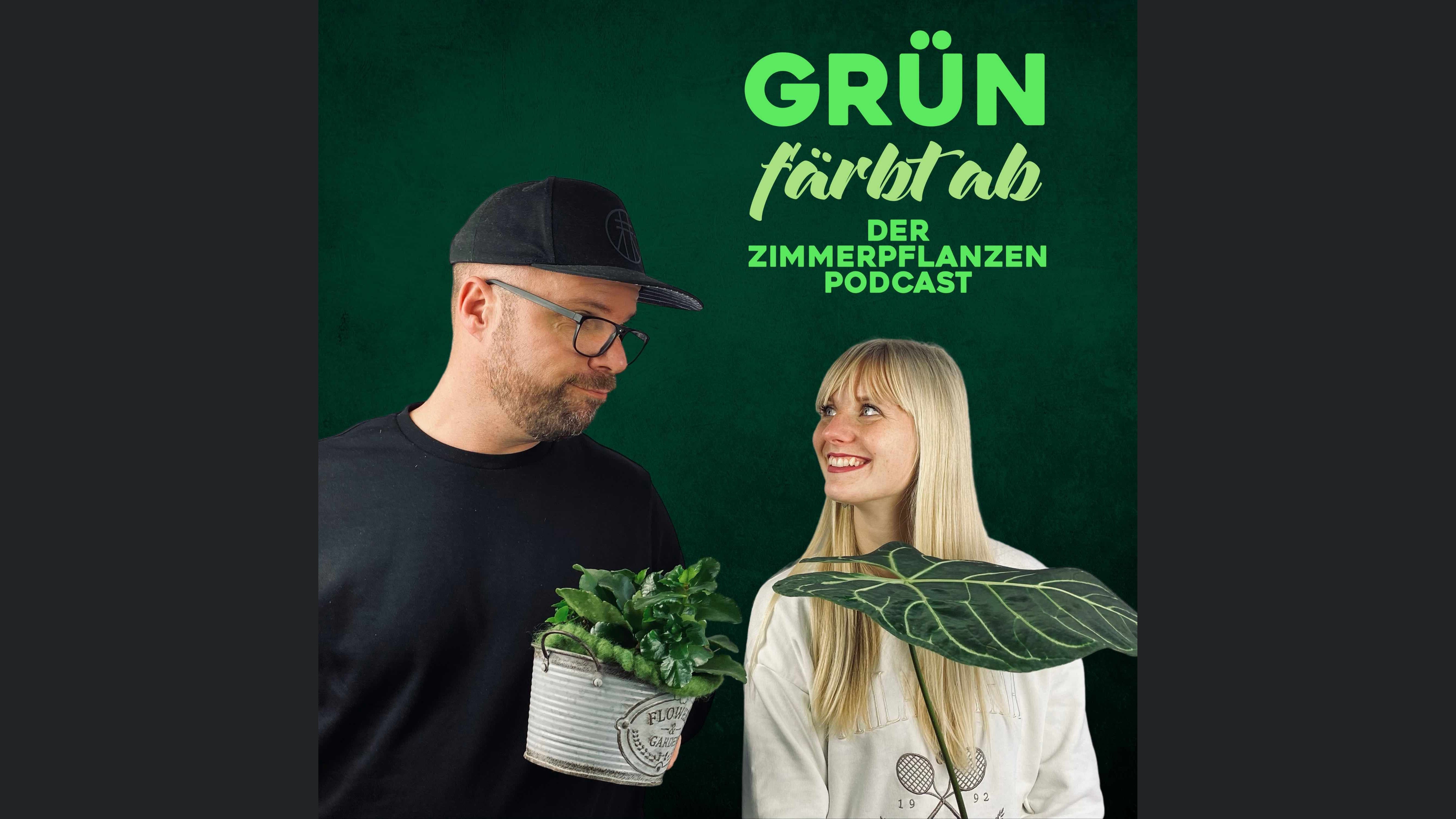 Grün färbt ab - der Zimmerpflanzen Podcast