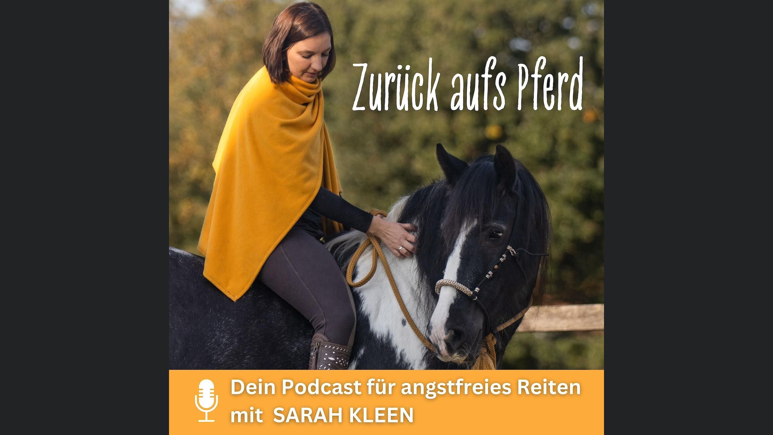 Zurück aufs Pferd
