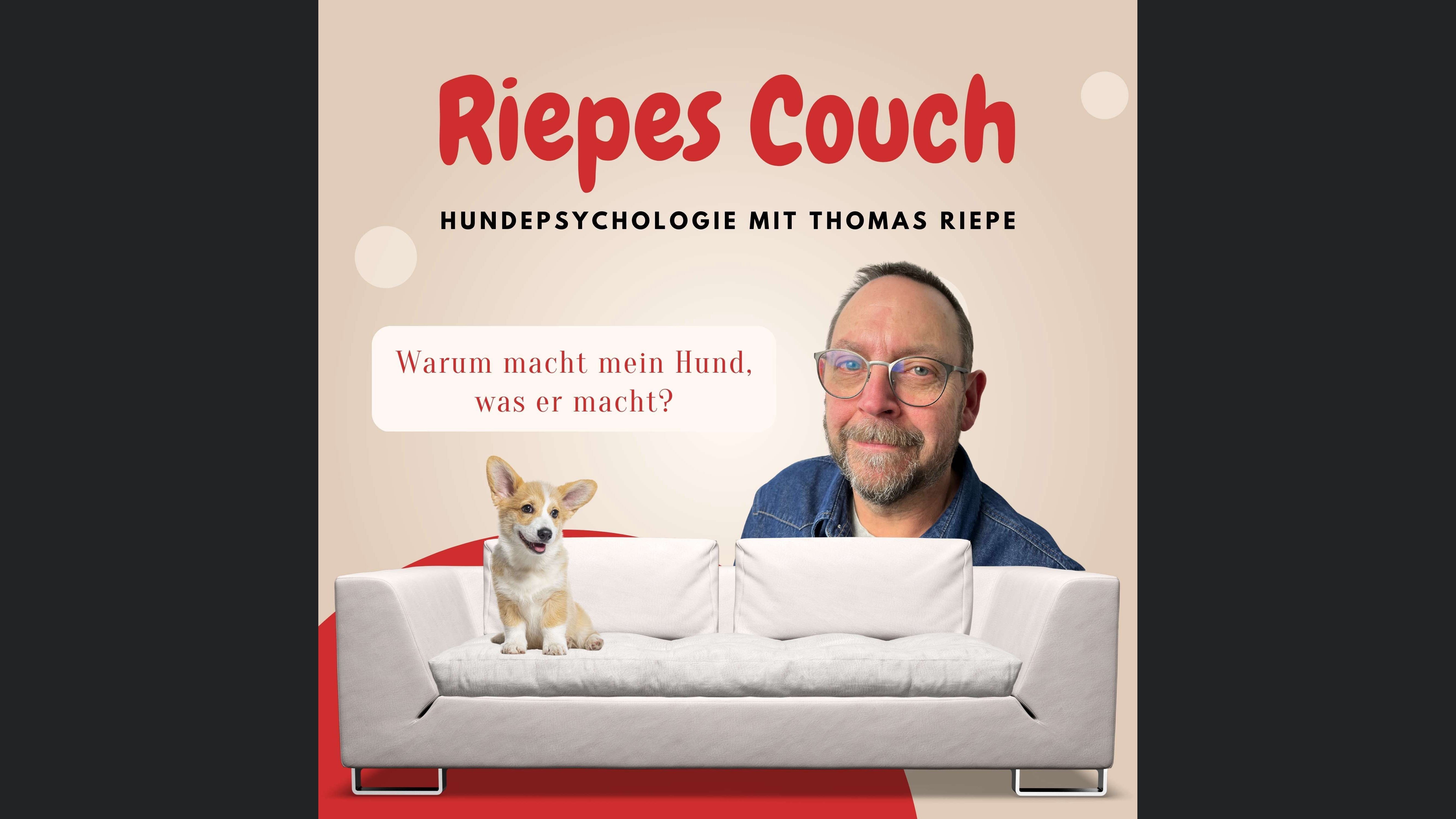Riepes Couch - Hundepsychologie mit Thomas Riepe