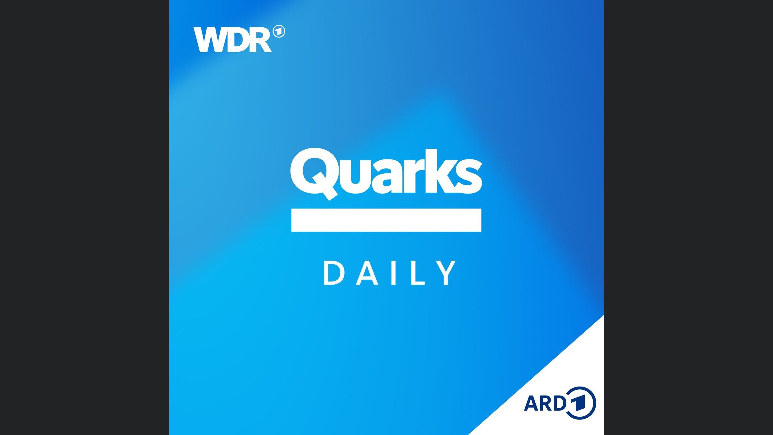 Quarks Daily
