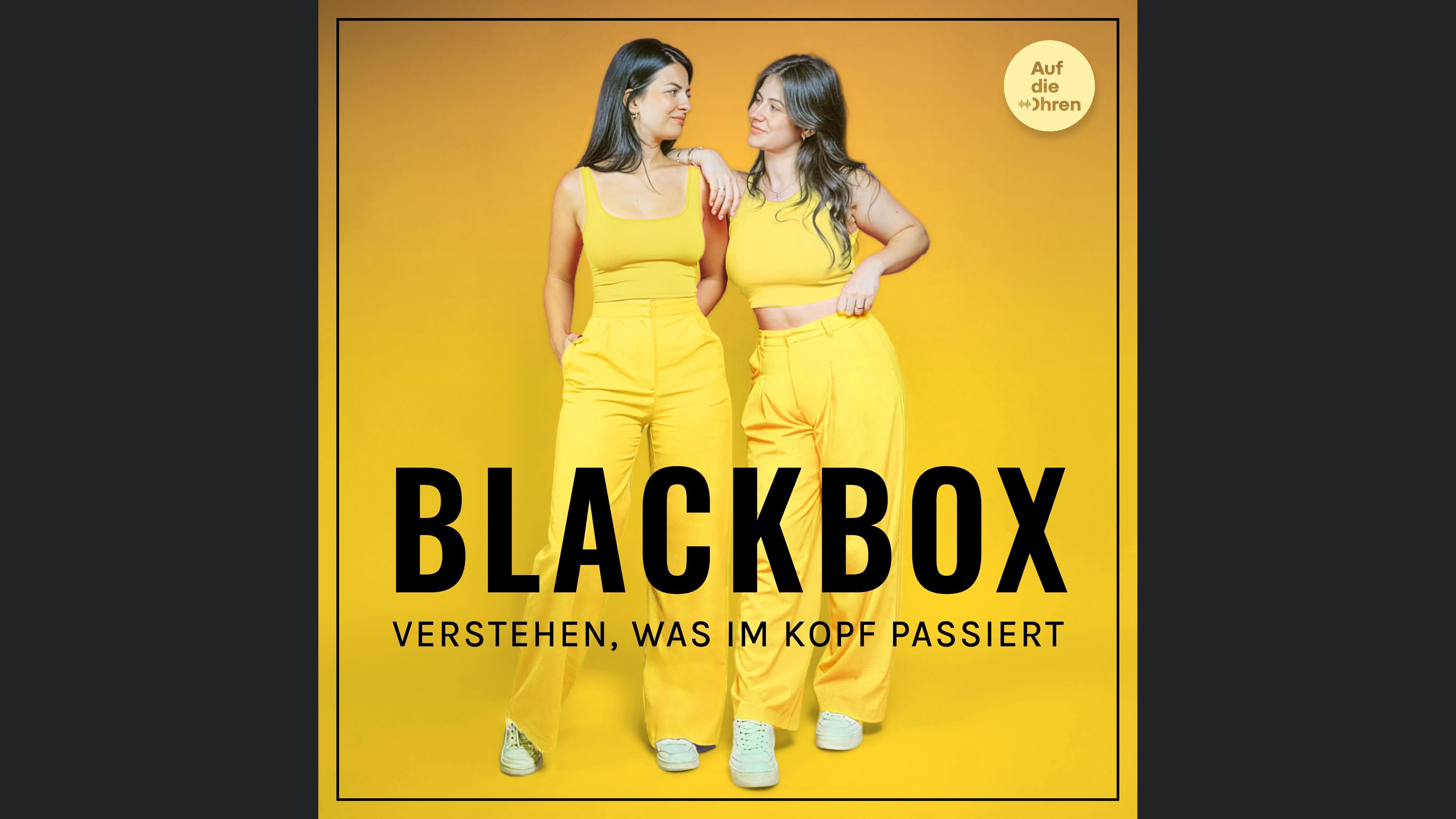 BlackBox - Verstehen, was im Kopf passiert