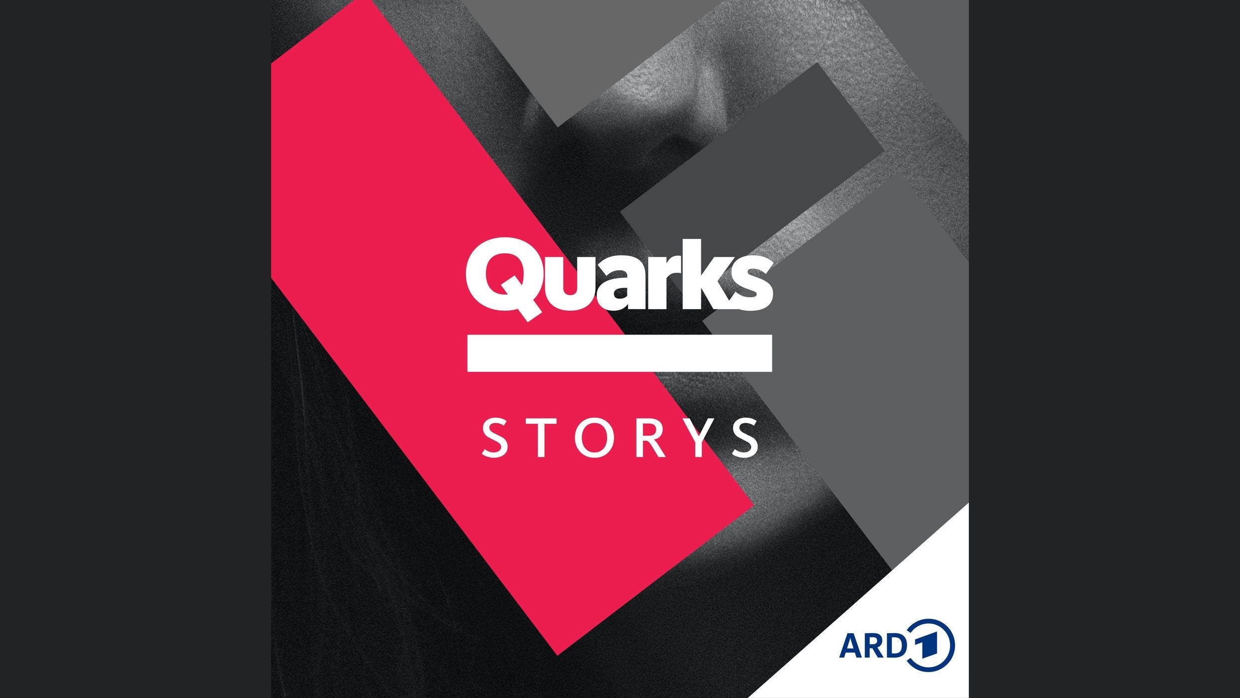 Quarks Storys