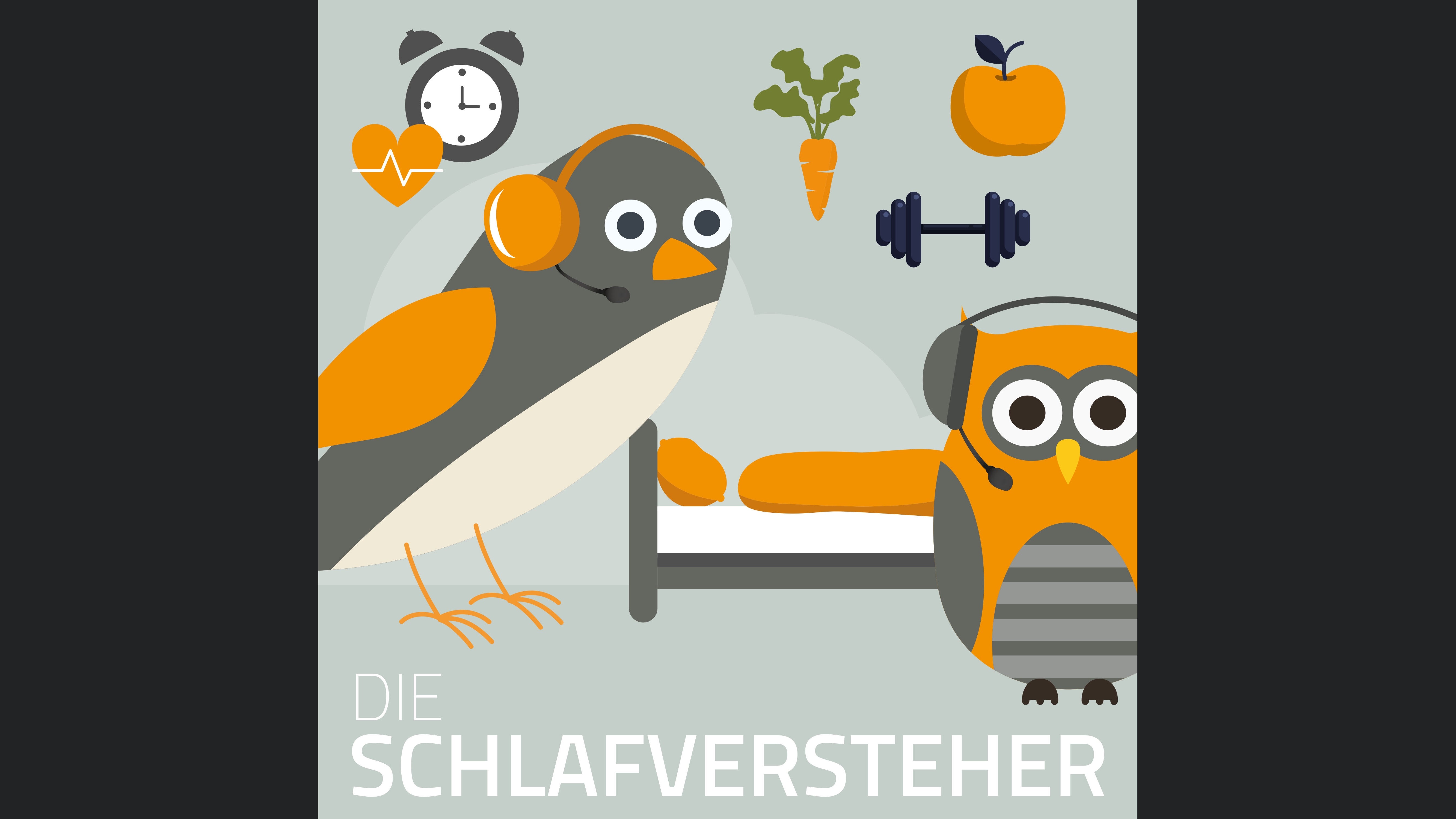 Schlafversteher