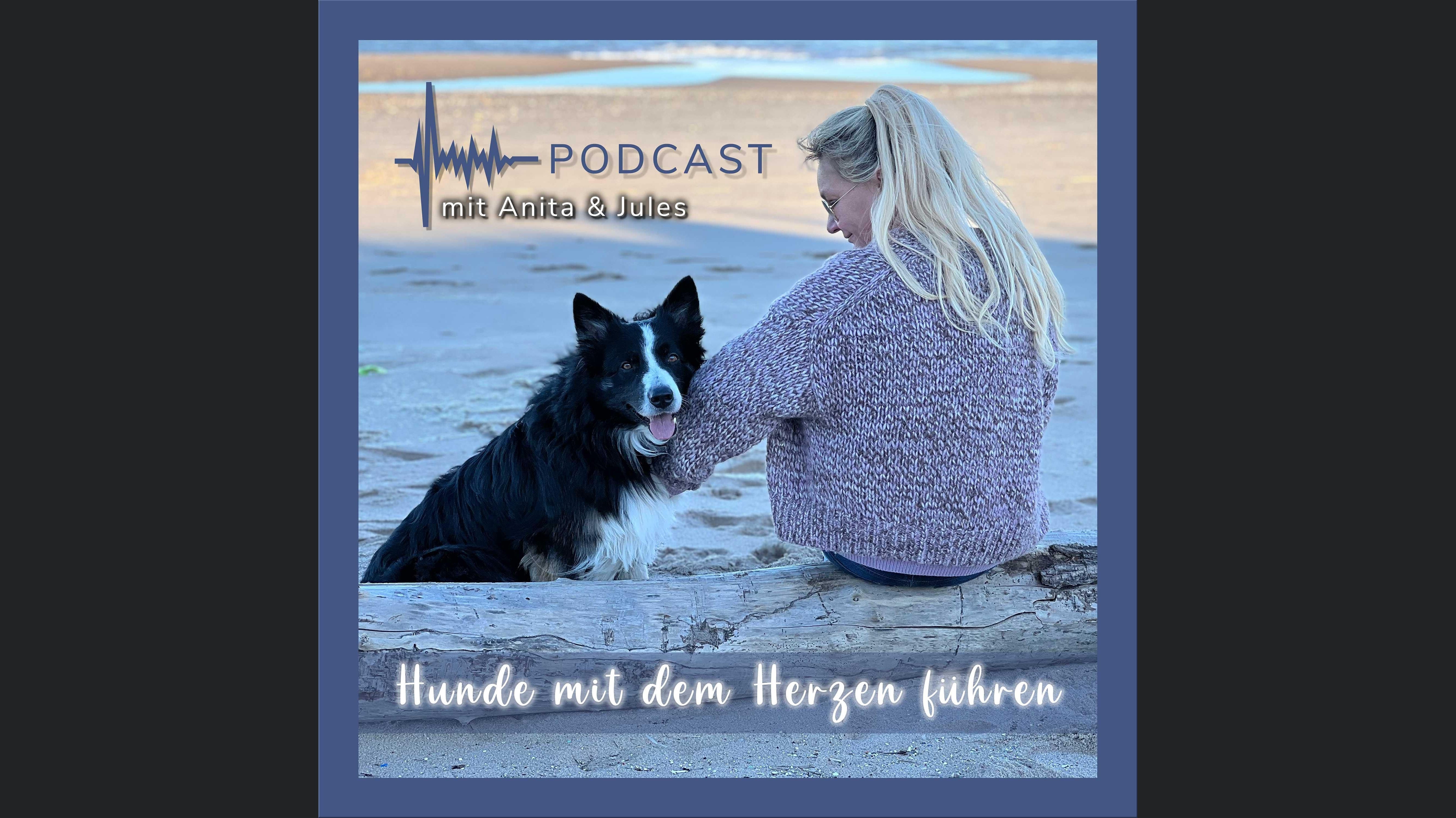 Hunde mit dem Herzen führen by Anita Balser