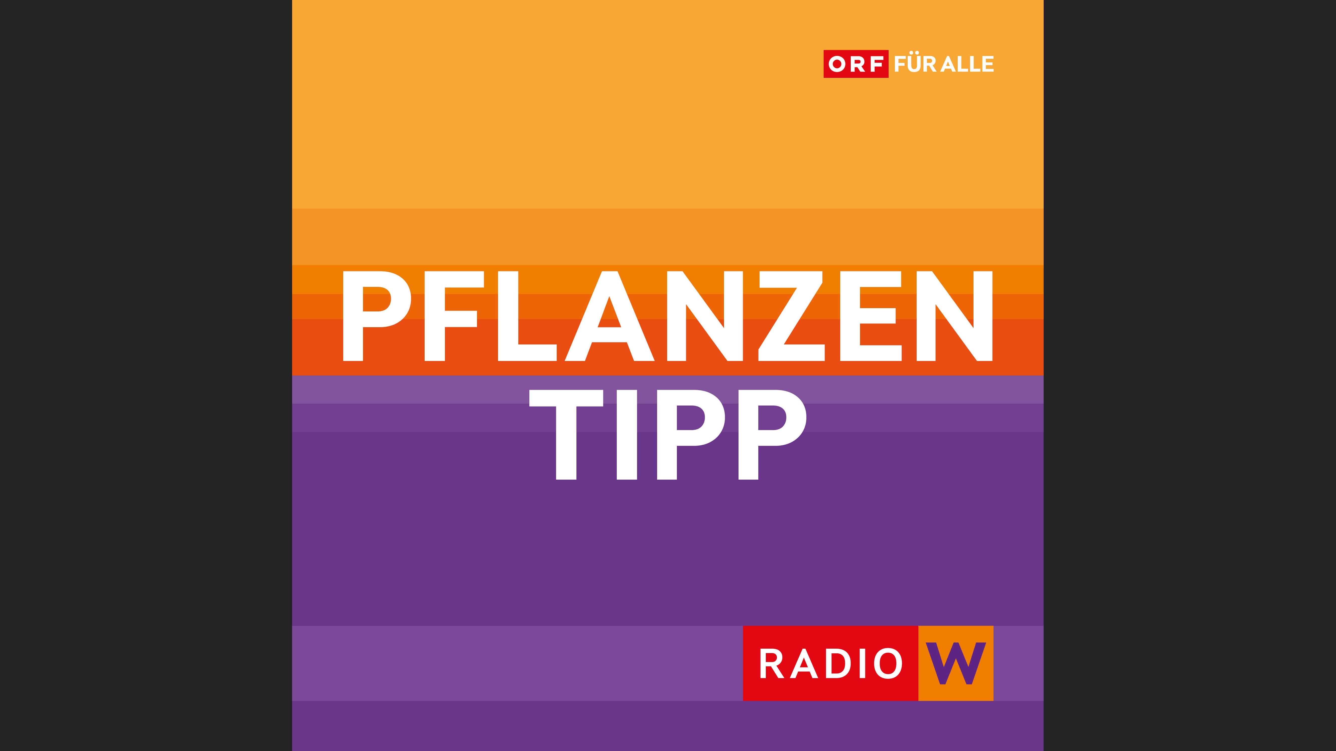 Radio Wien Pflanzentipp