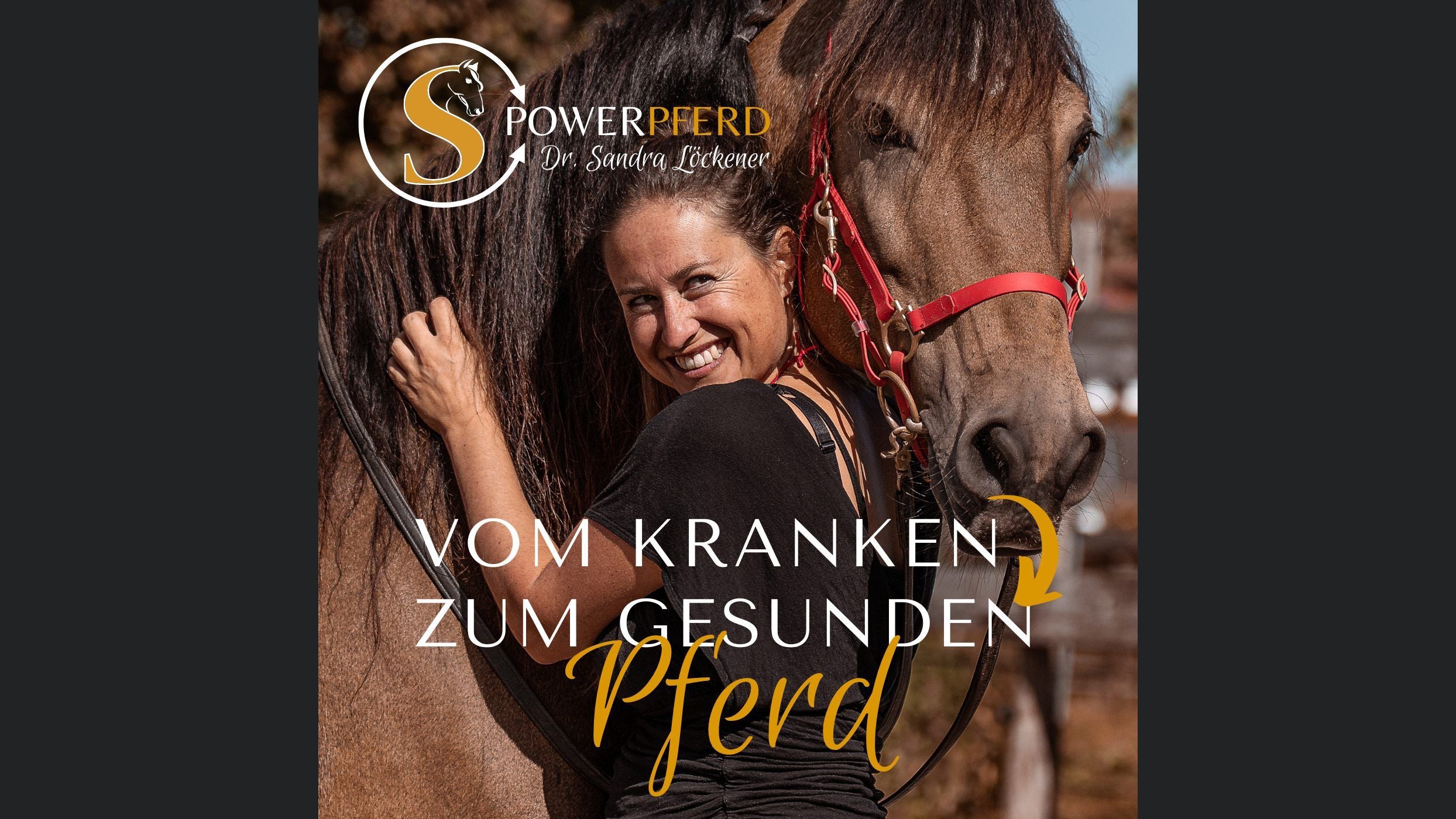 Vom kranken zum gesunden Pferd