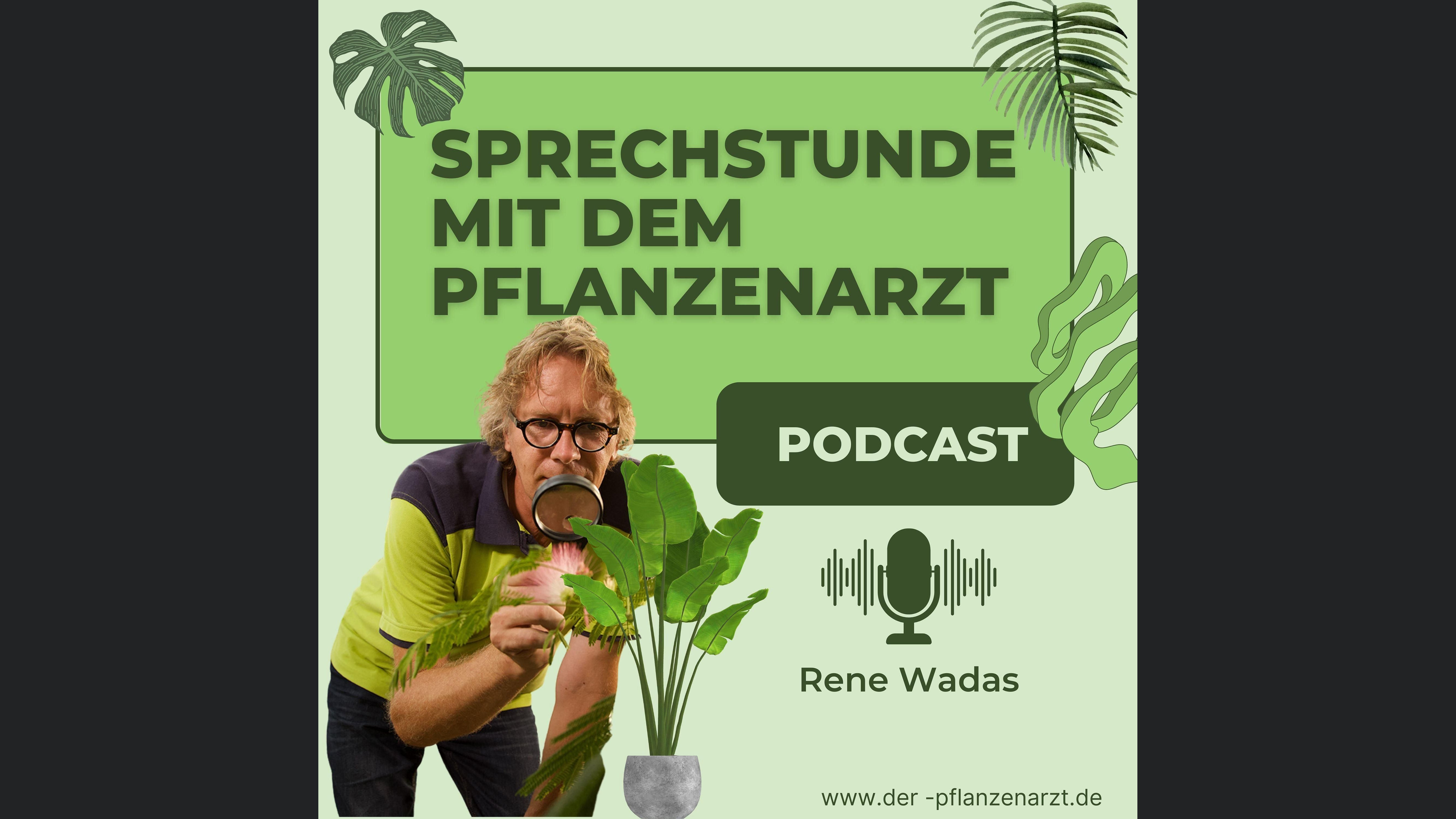 Sprechstunde mit dem Pflanzenarzt