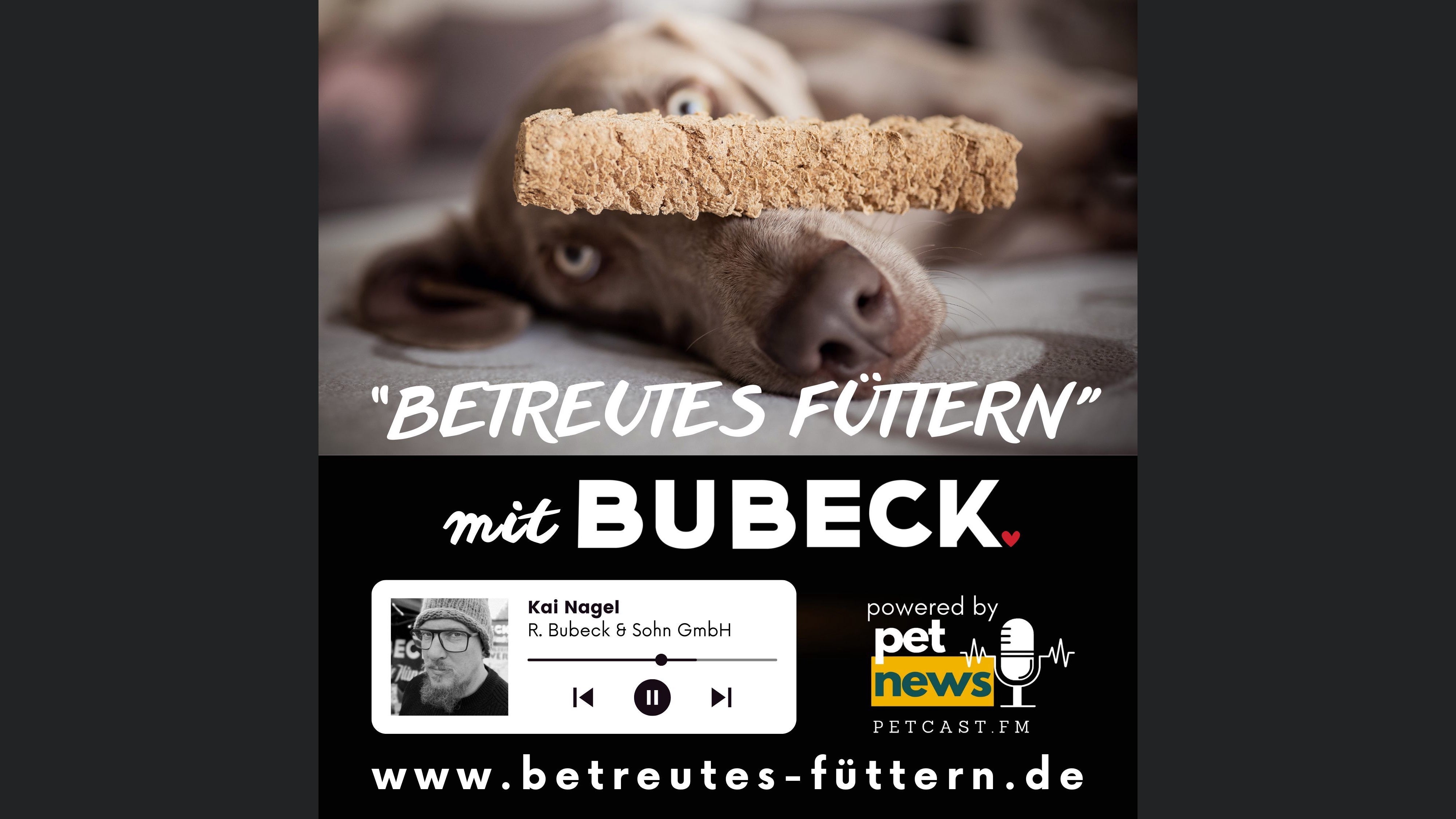 Betreutes Füttern mit Bubeck - Die älteste Hundefuttermanufaktur von 1893