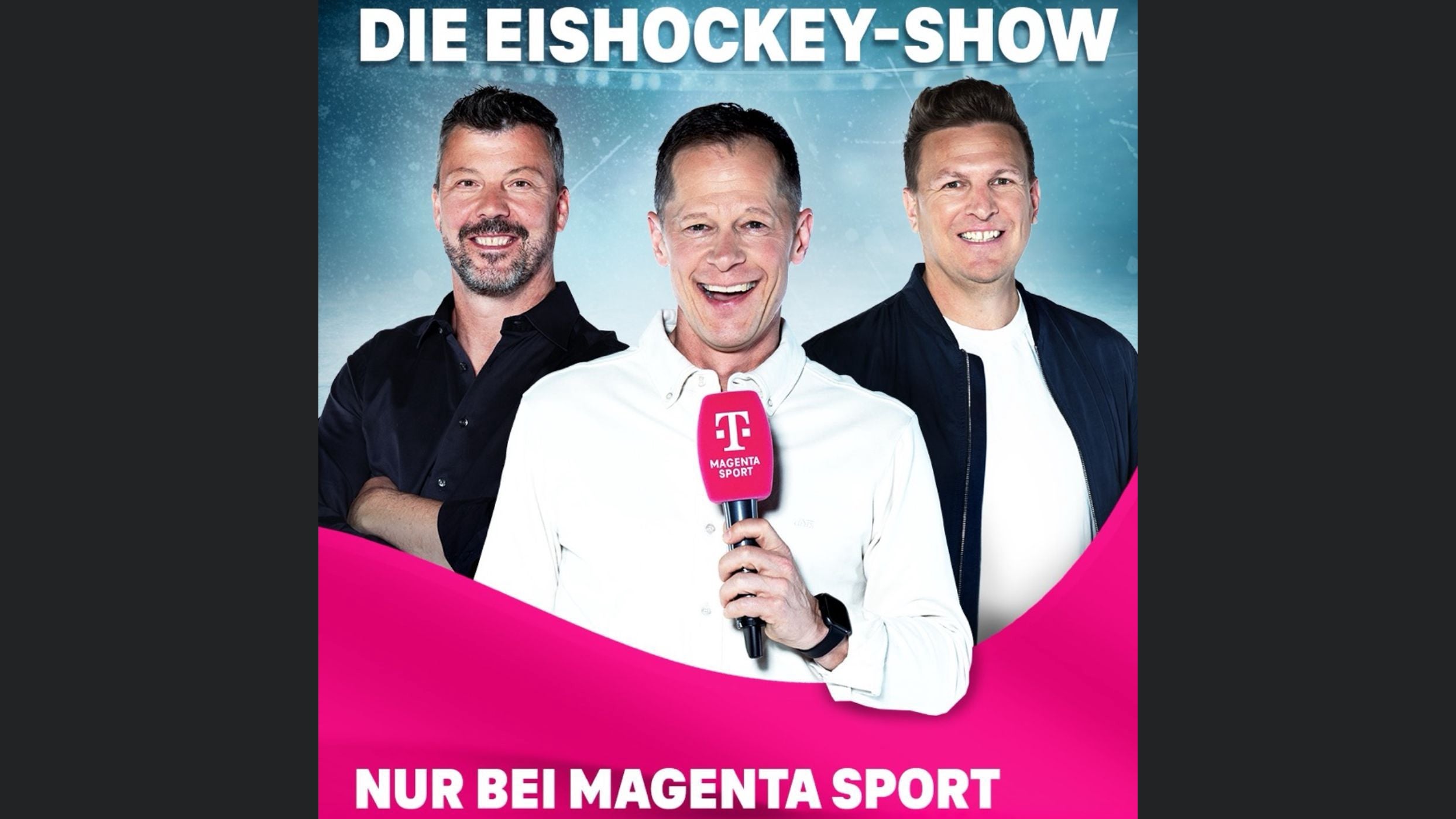 Die Eishockey Show
