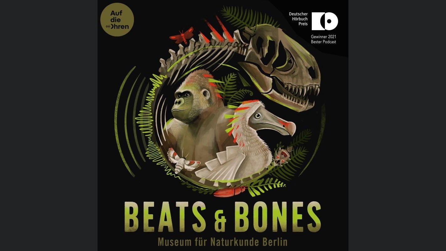 Beats & Bones