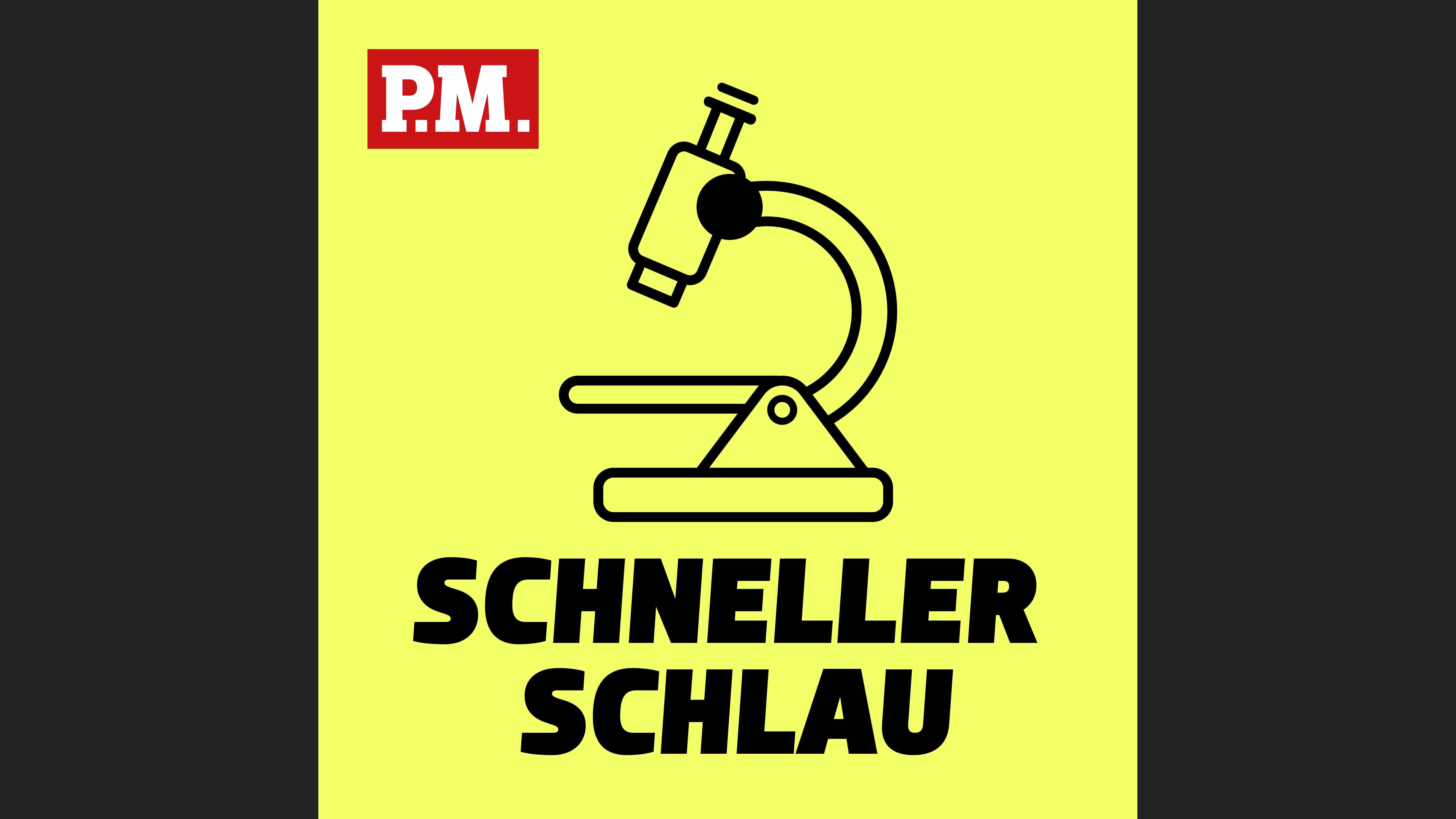 Schneller schlau - Der kurze Wissenspodcast von P.M.