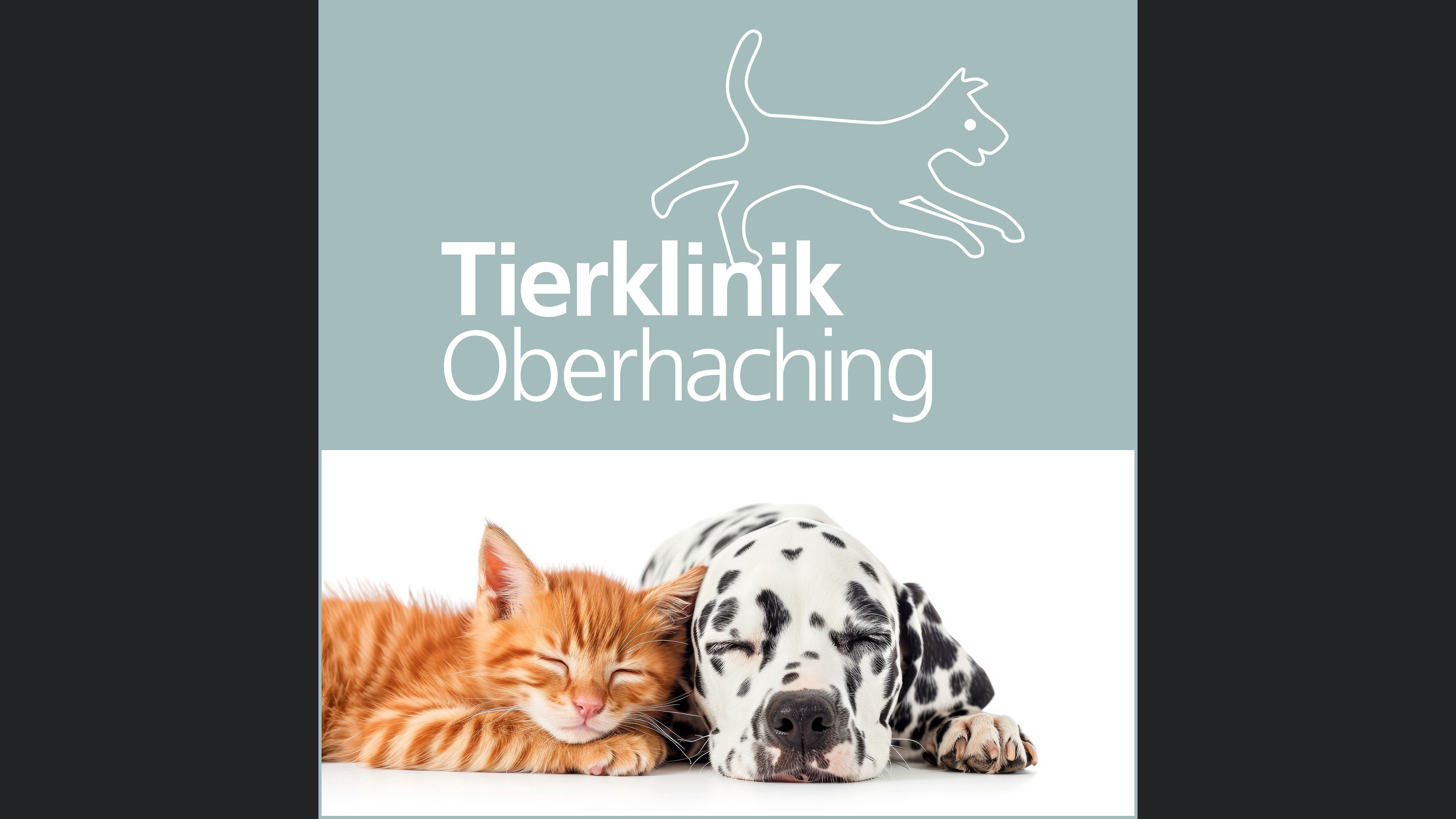 Tierisch gesund – Medizin, Tipps und Geschichten aus der Tierklinik Oberhaching
