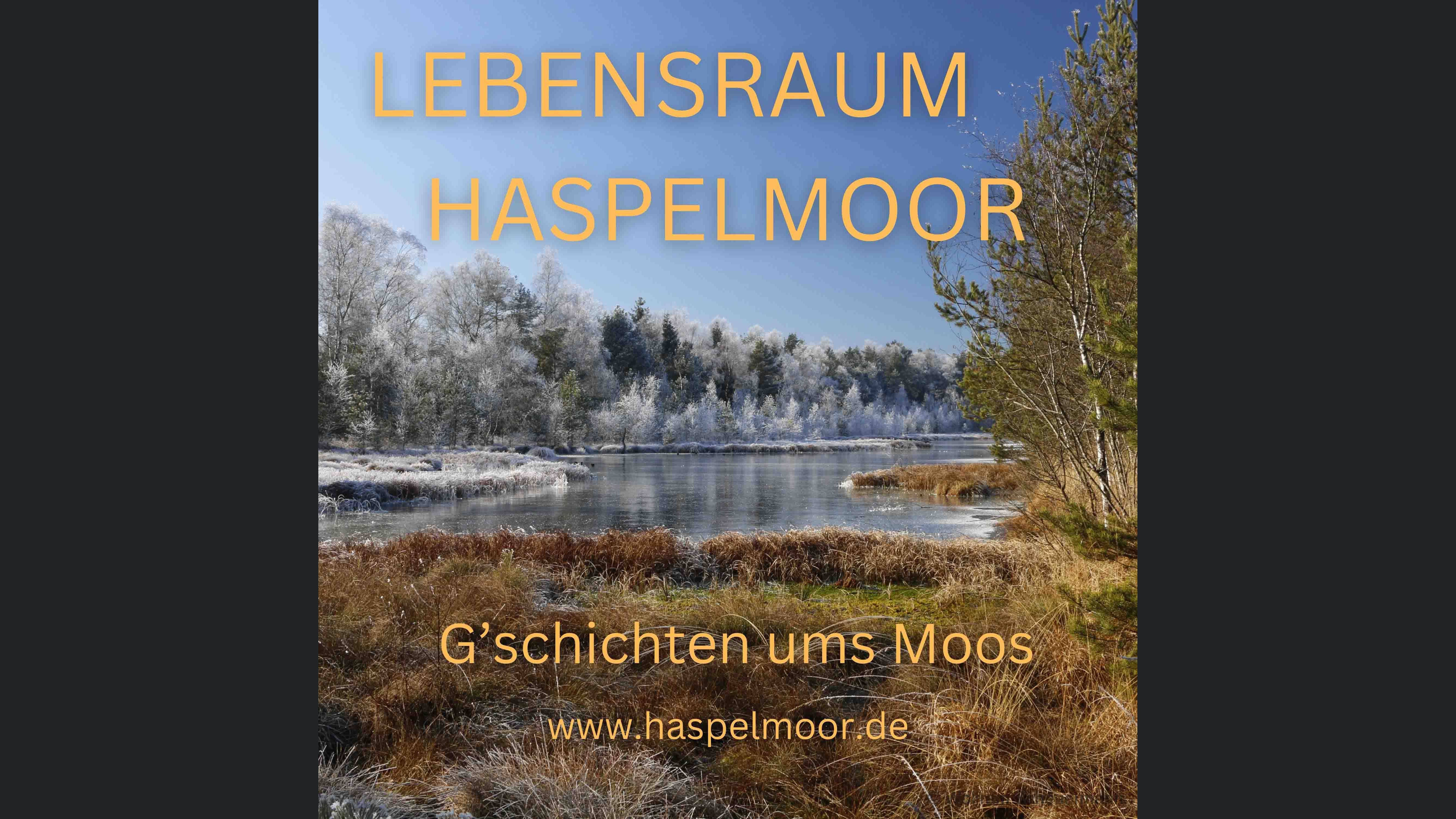 Haspelmoor Podcast - Geschichten ums Moos
