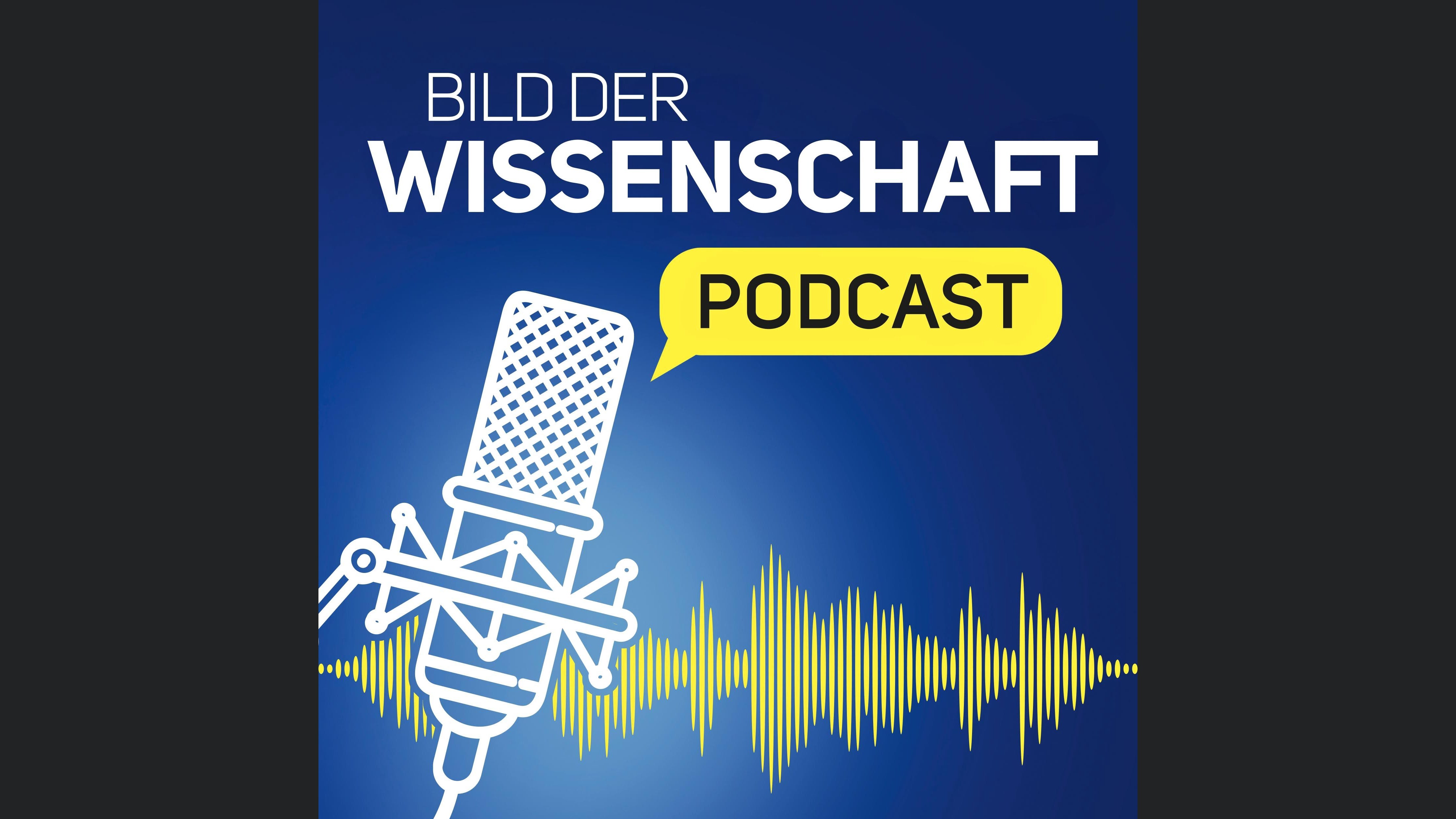 Bild der Wissenschaft PODCAST
