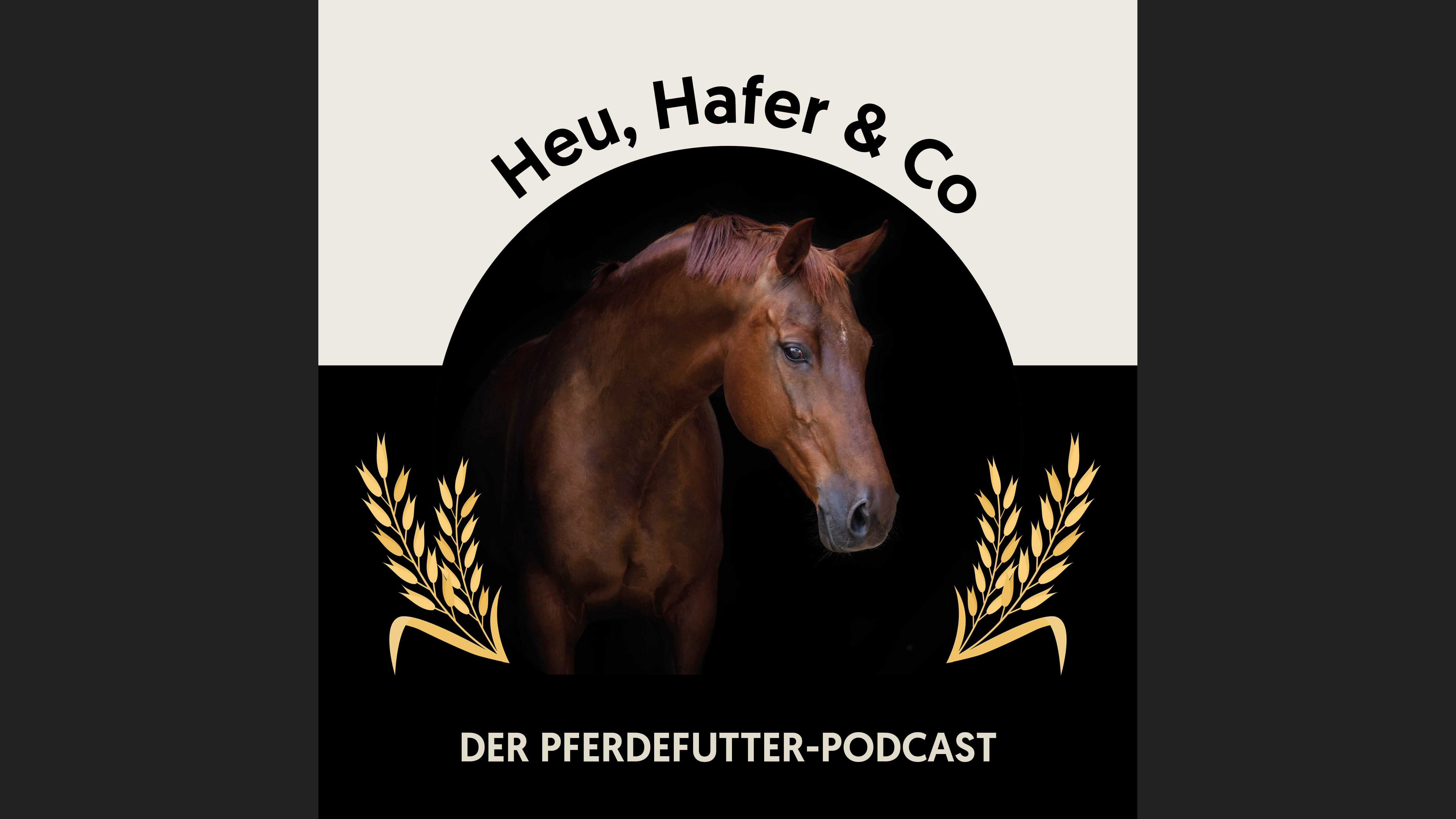 Heu, Hafer & Co: Der Pferdefutter-Podcast