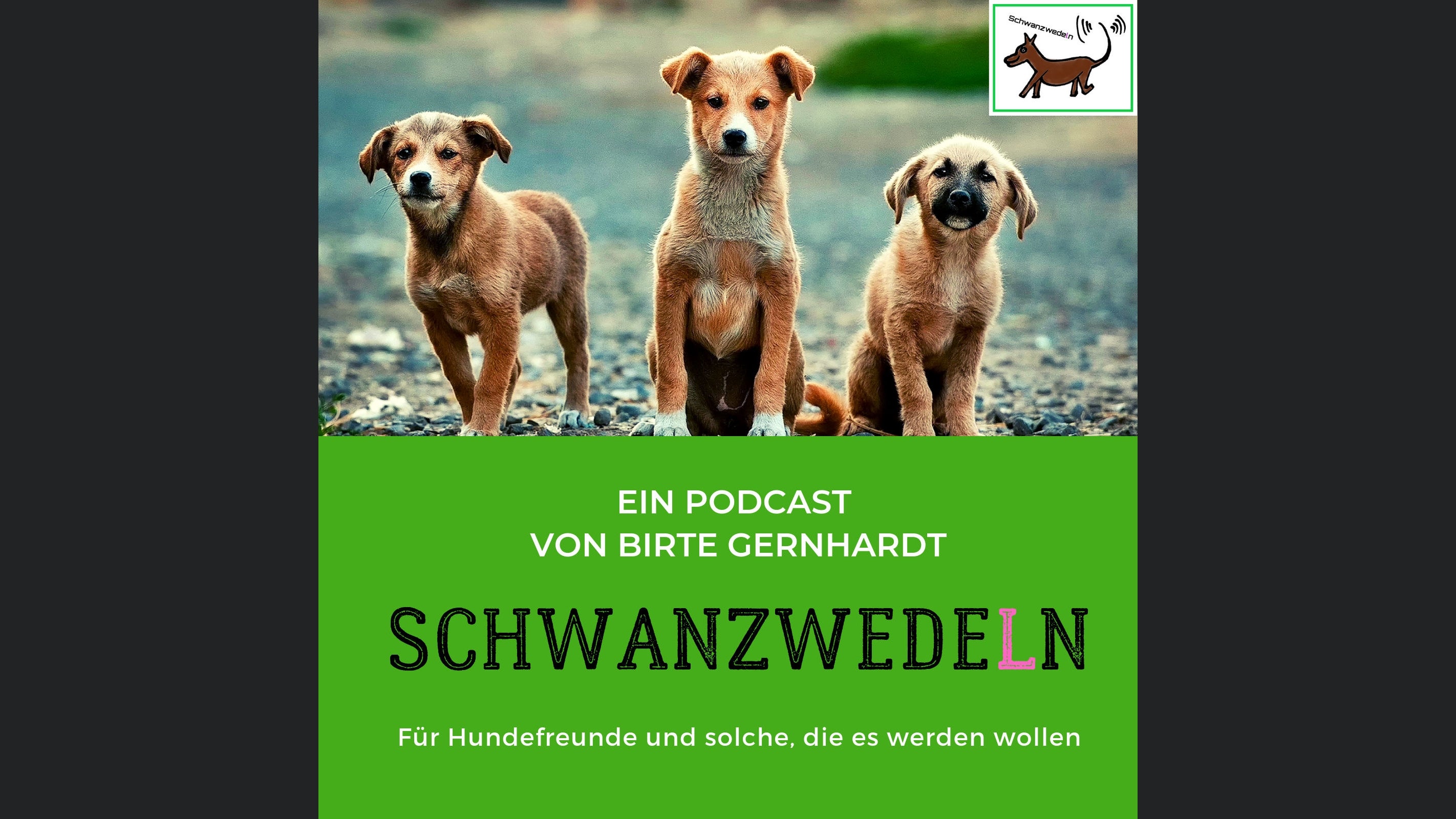 Schwanzwedeln