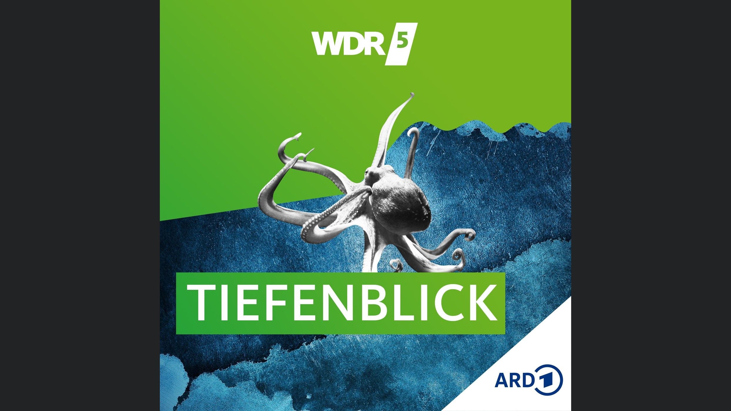 WDR 5 Tiefenblick