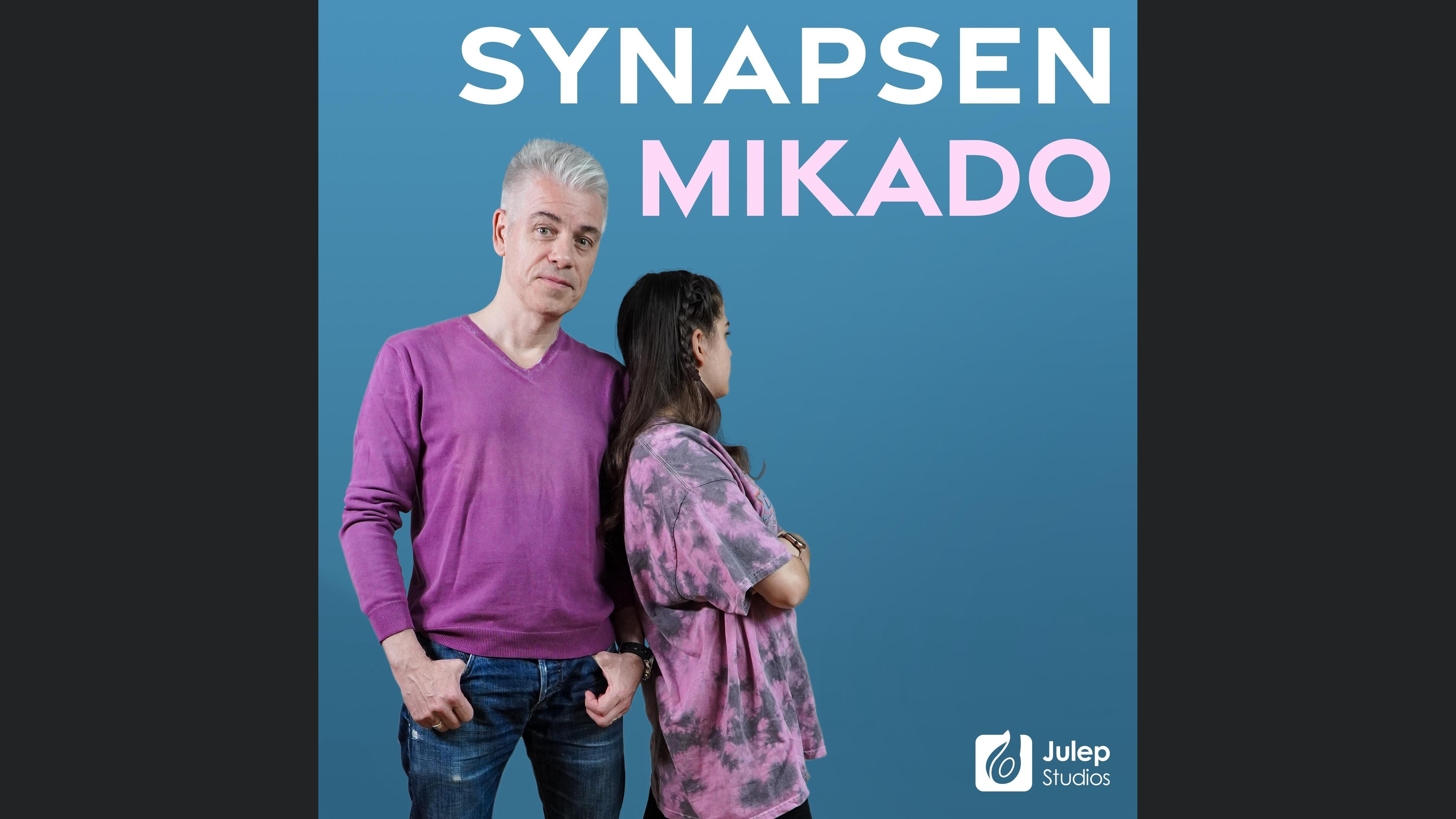 Mittermeiers Synapsen Mikado - Gespräche mit einer 15-Jährigen
