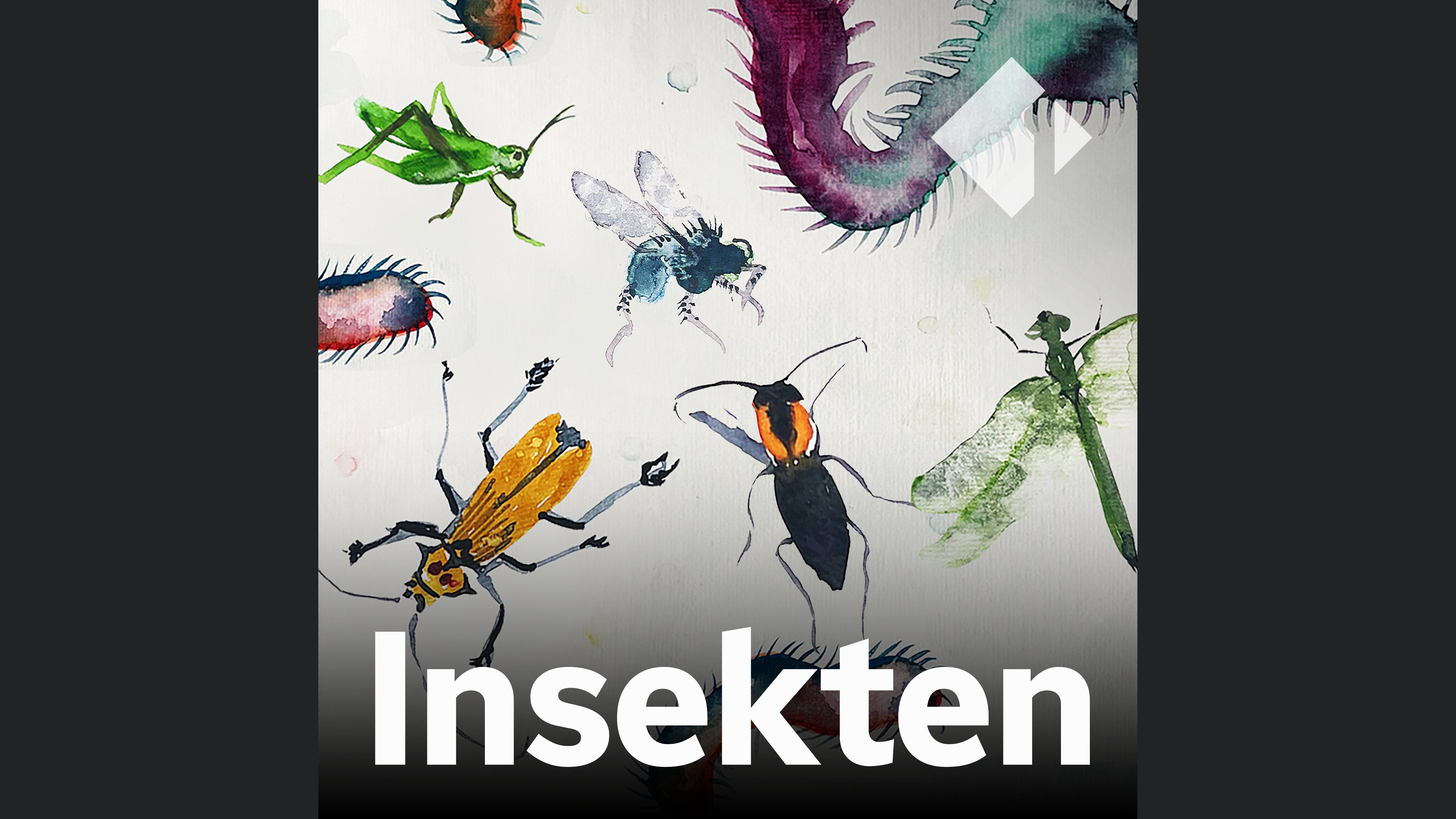 Insekten