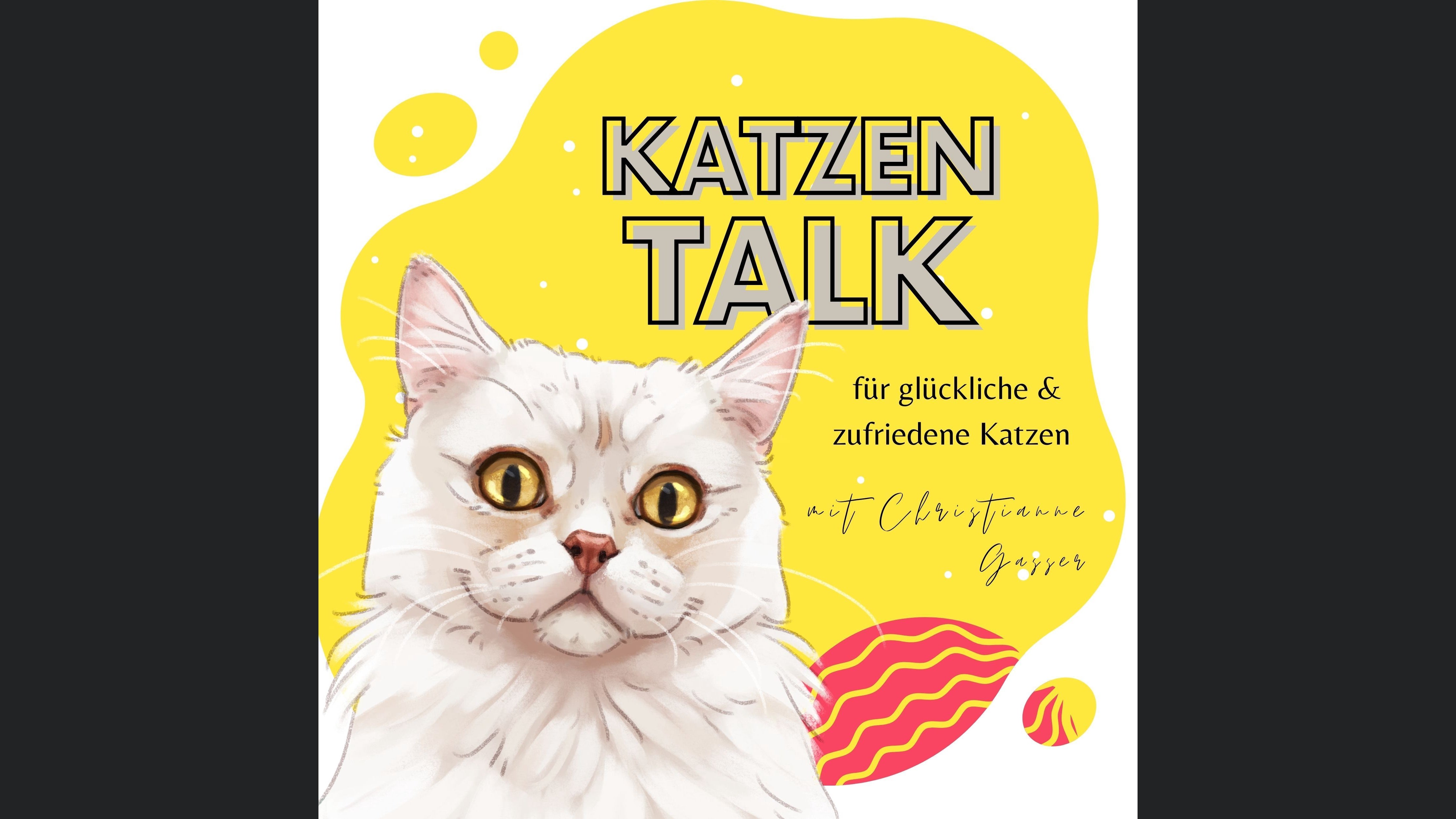 Katzen Talk - für glückliche und zufriedene Katzen